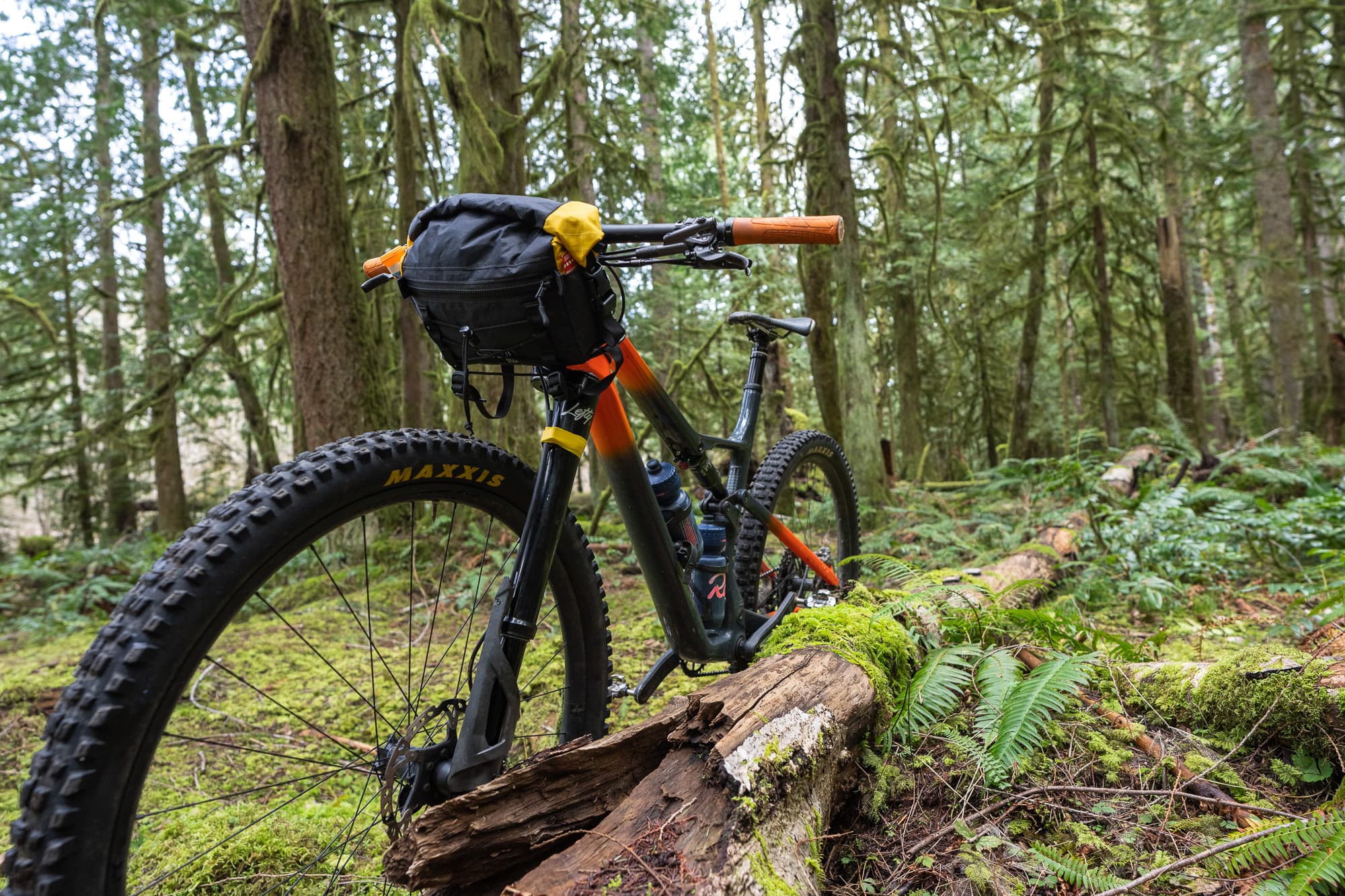 The San Util Roly Poly on a bike in the woods.