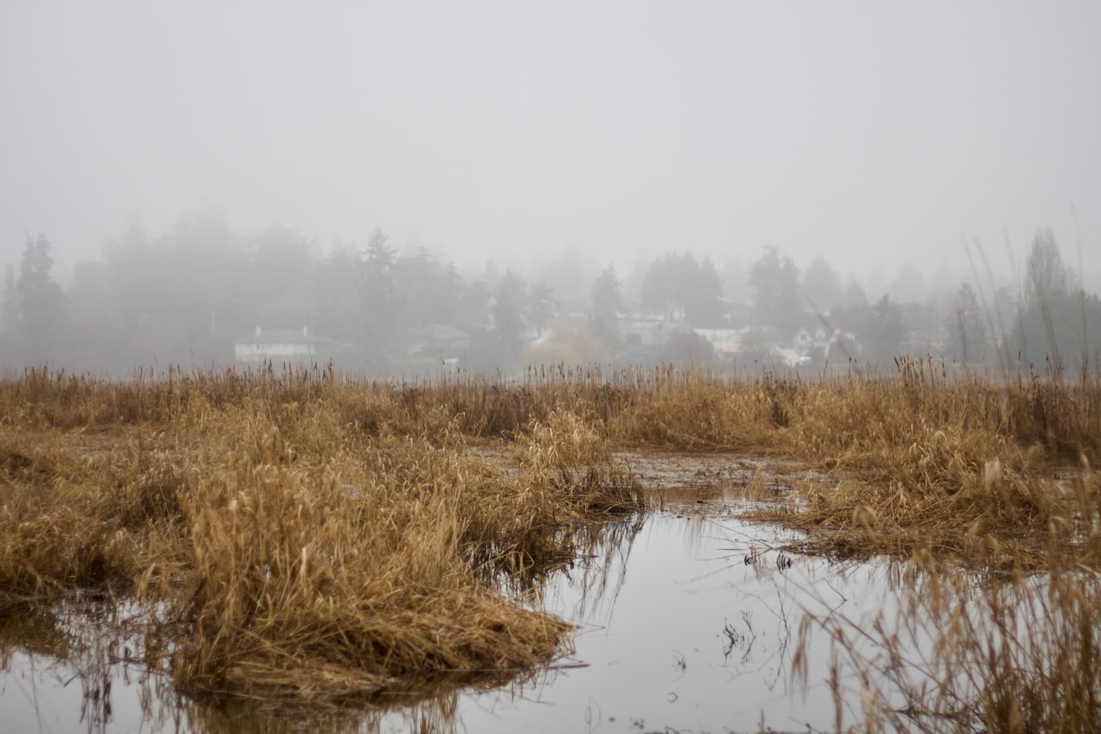 panama flats flood plain