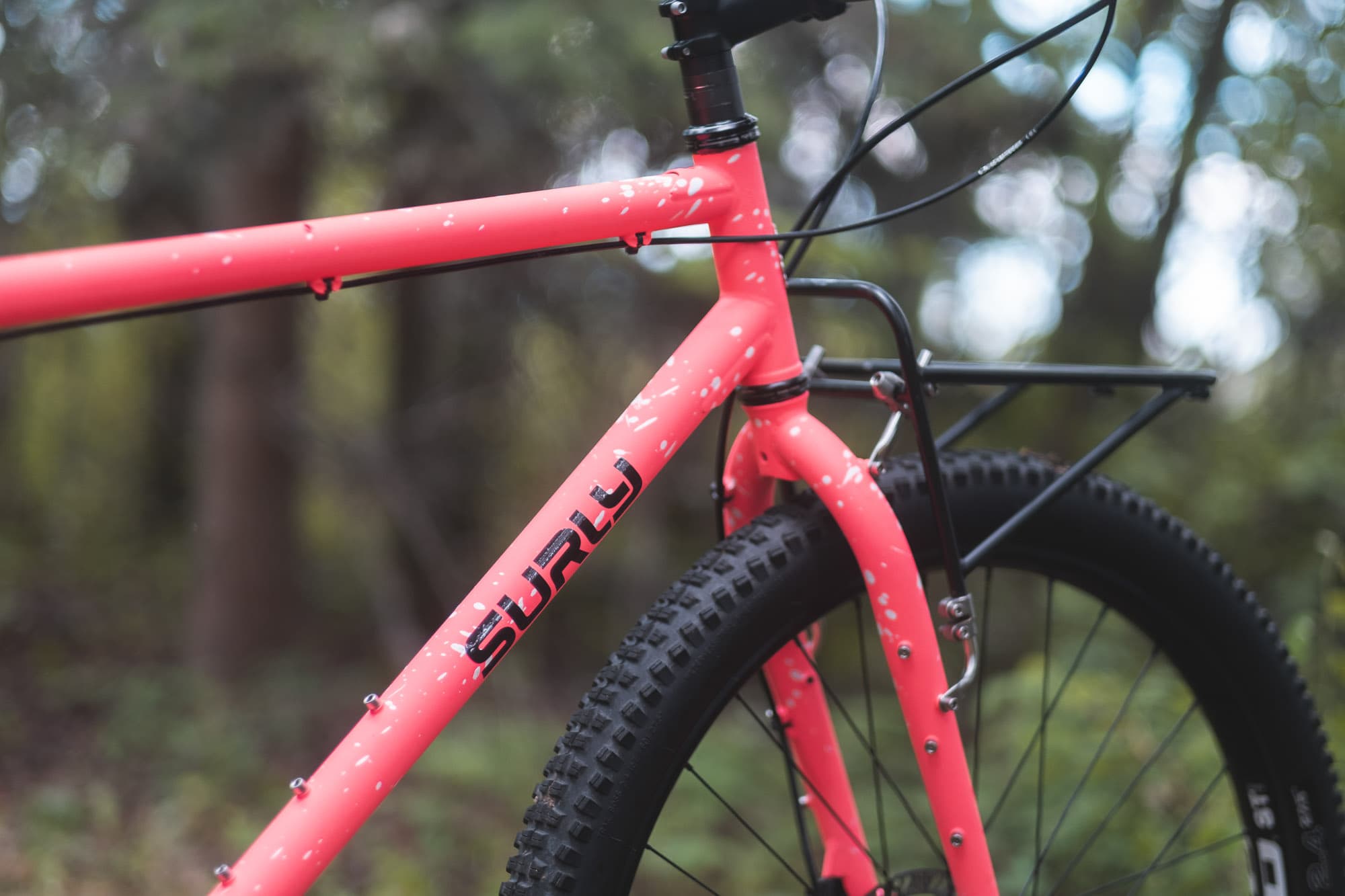 The Cockpit of the painted Bridge Club.