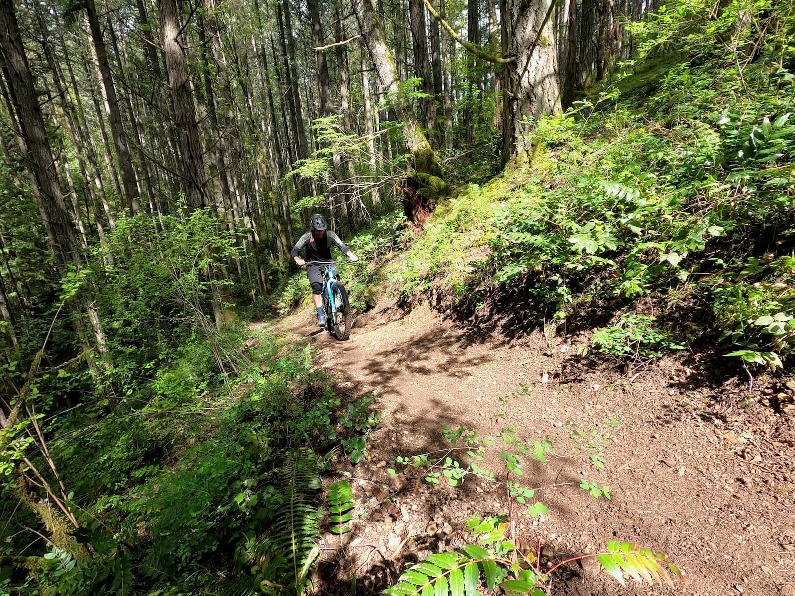 switchgrade climbing 1
