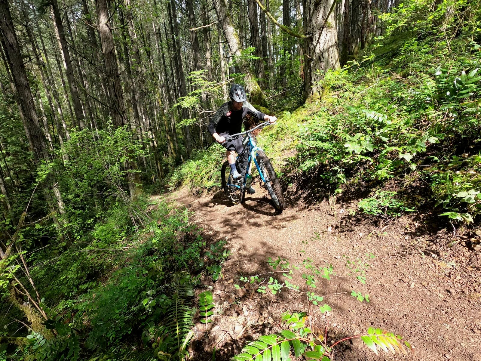 switchgrade climbing 2