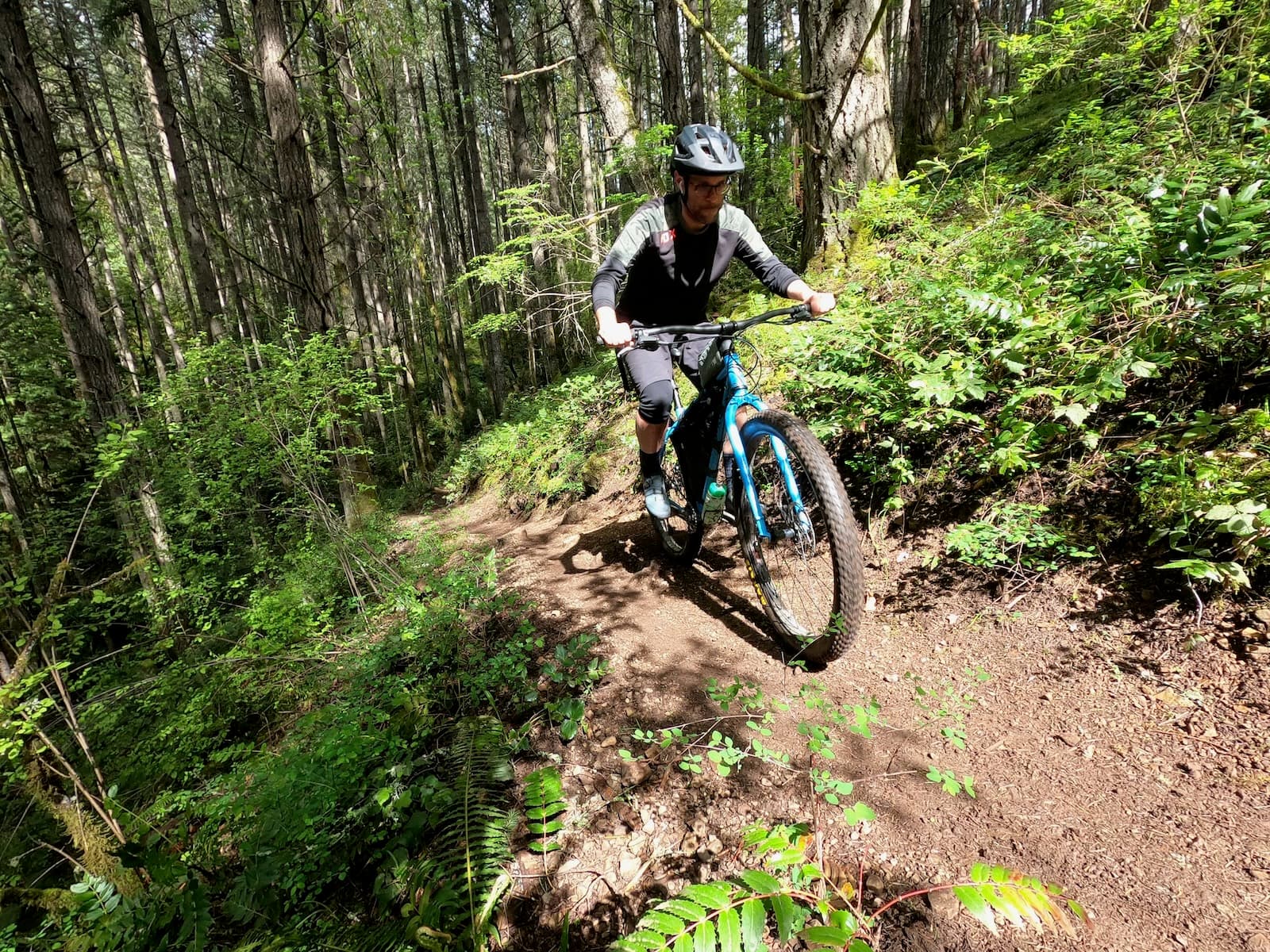switchgrade climbing 3