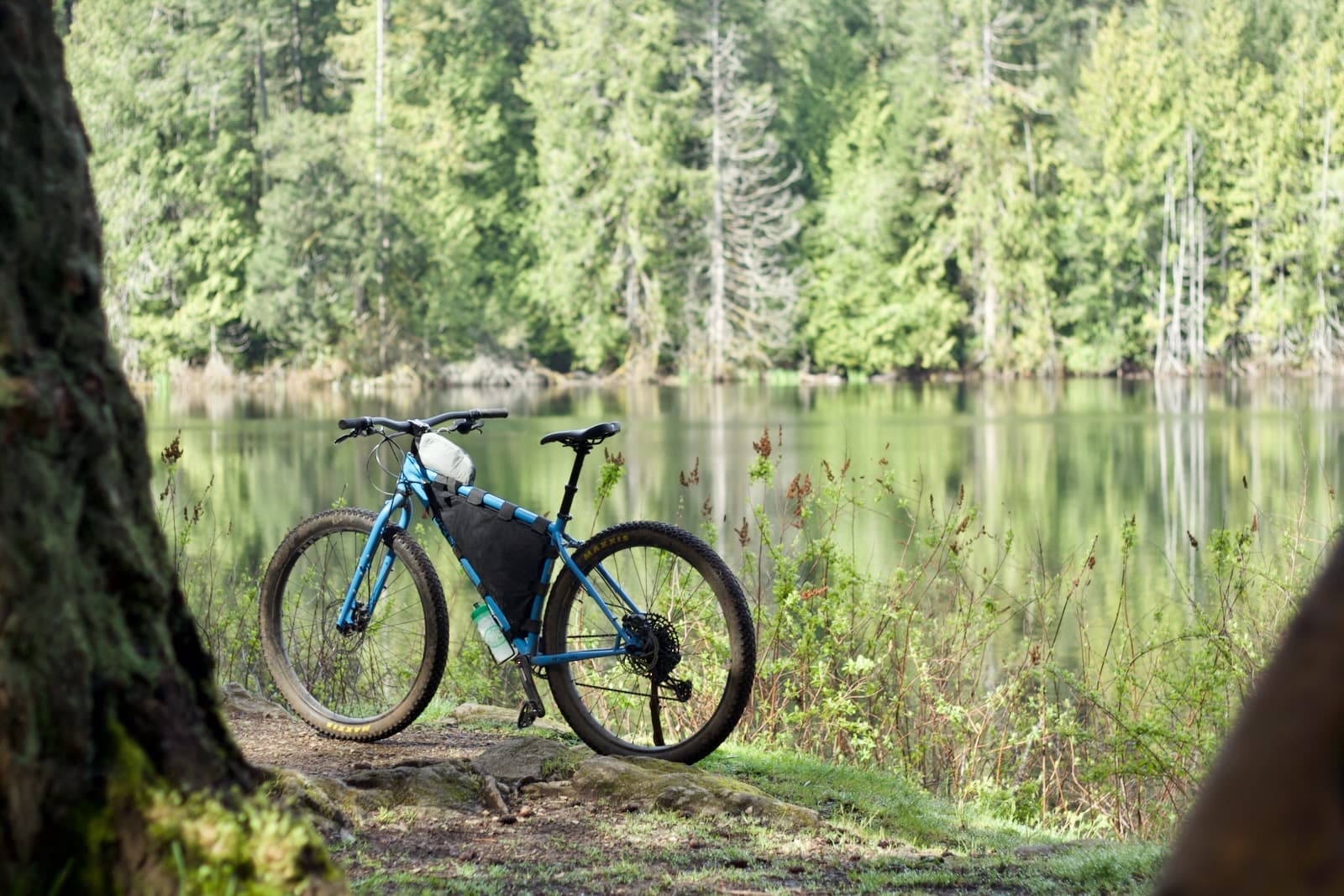 switchgrade on surly krampus