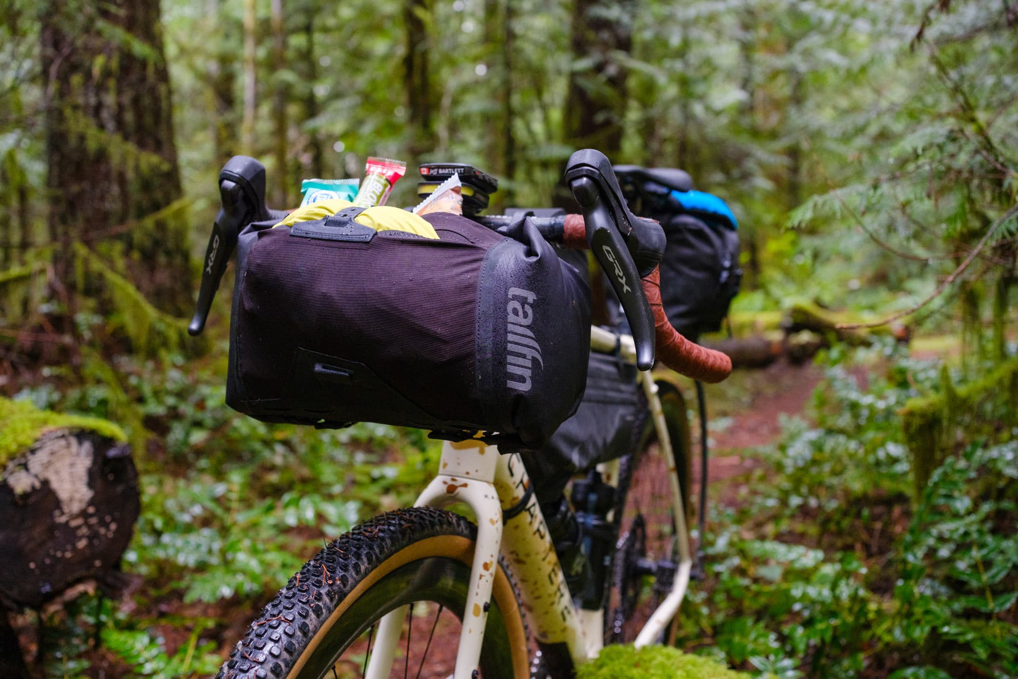 Jeffs Chapter 2 with a Tailfin Bar Bag.