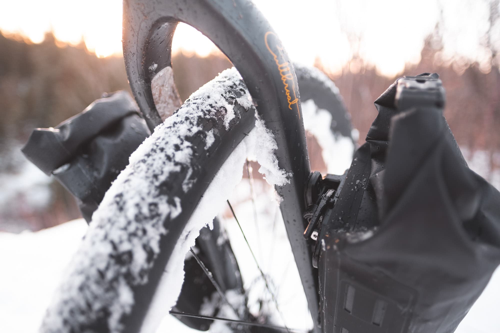 The Tailfin Fork Packs rear view.