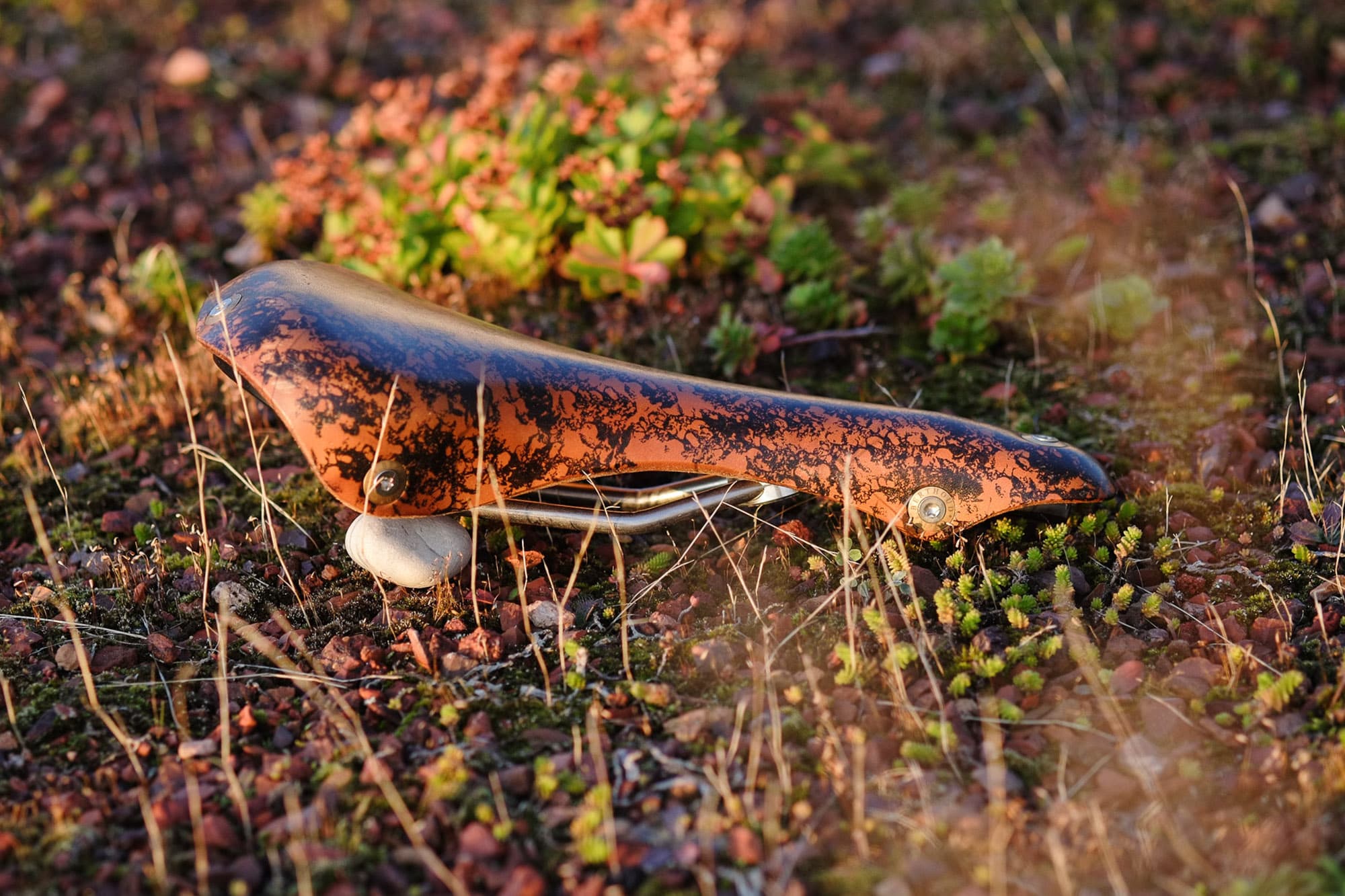 Berthoud Soulor side view