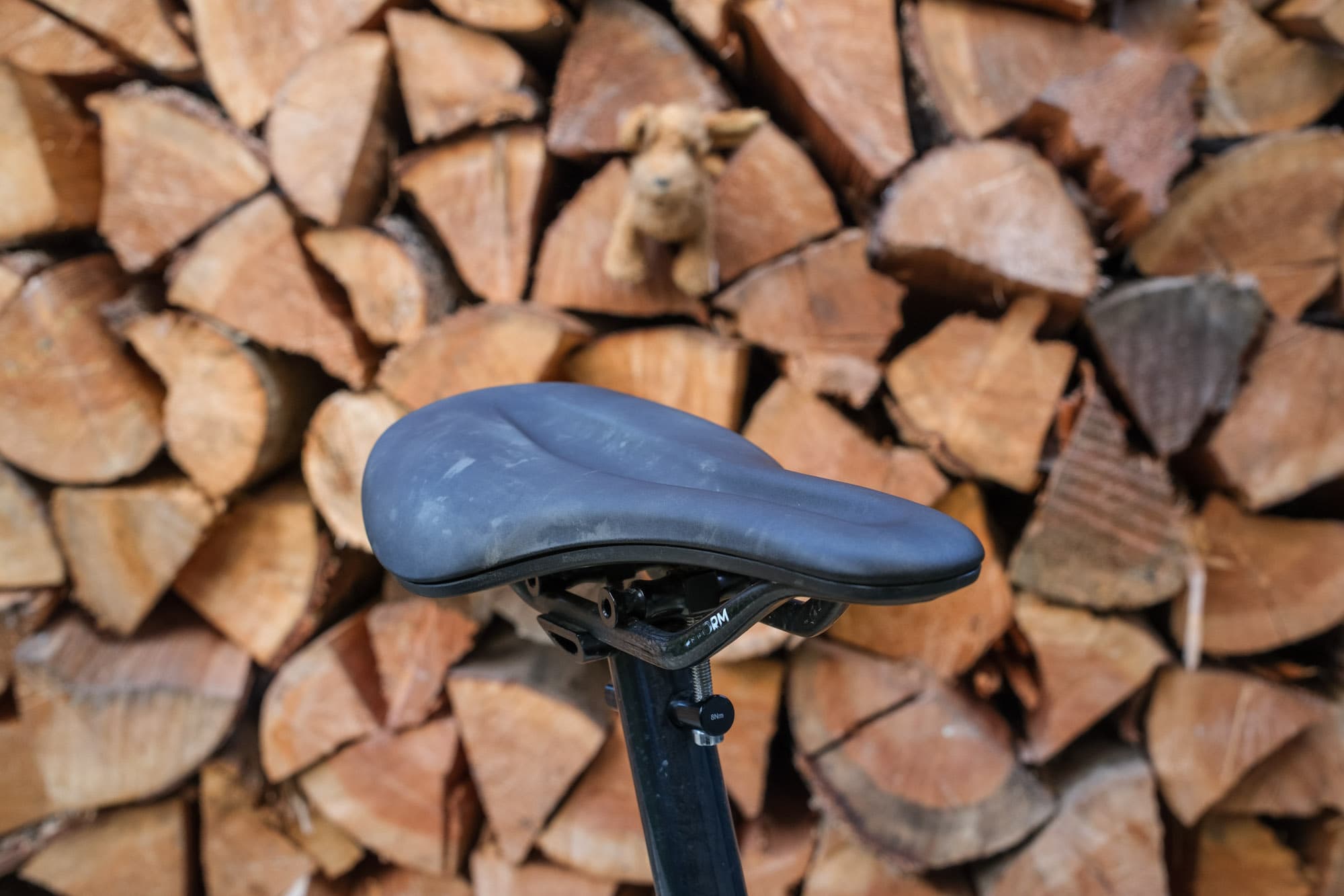 Reform Seymour front view