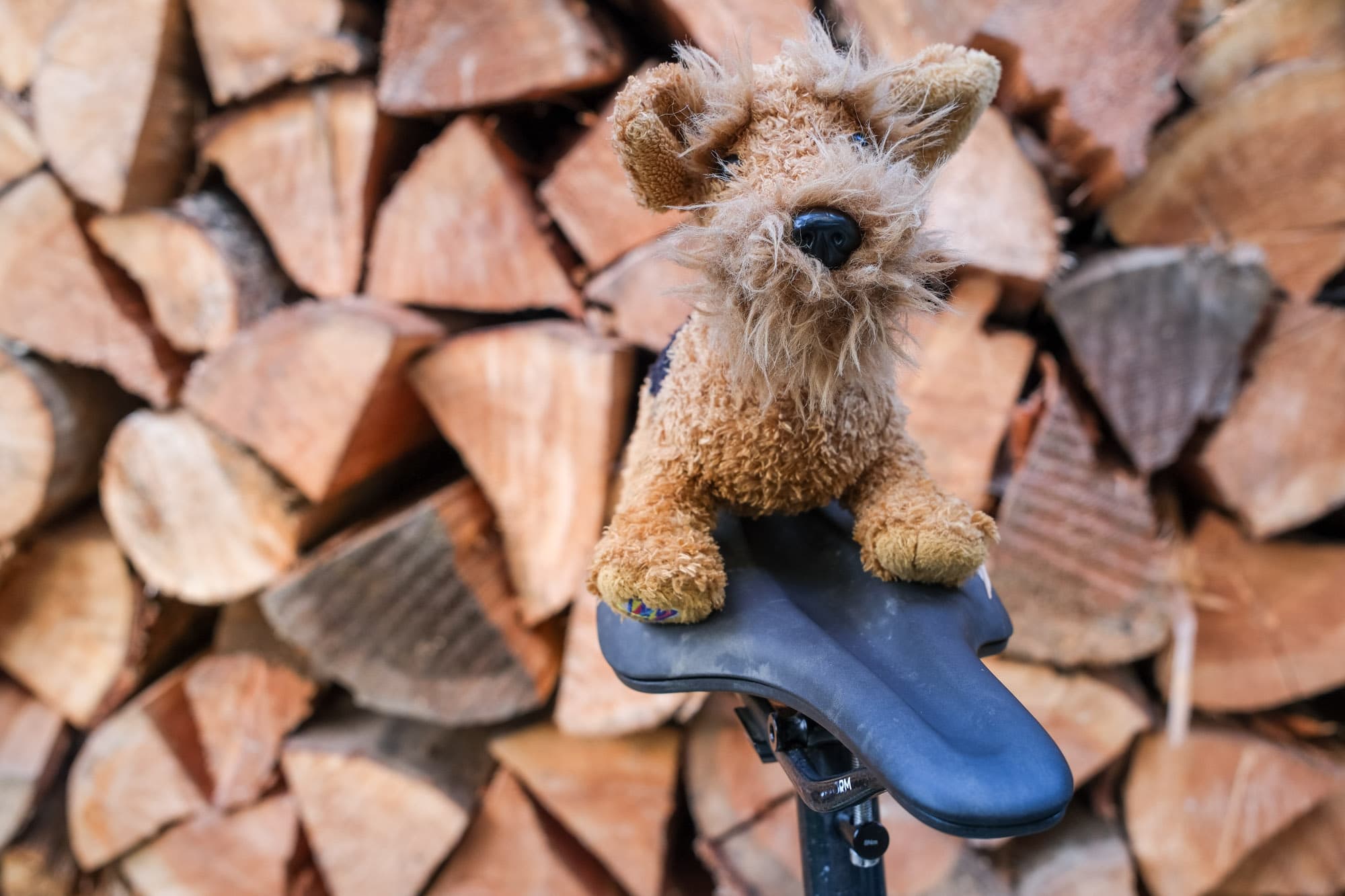 Reform Seymour with cockpit companion