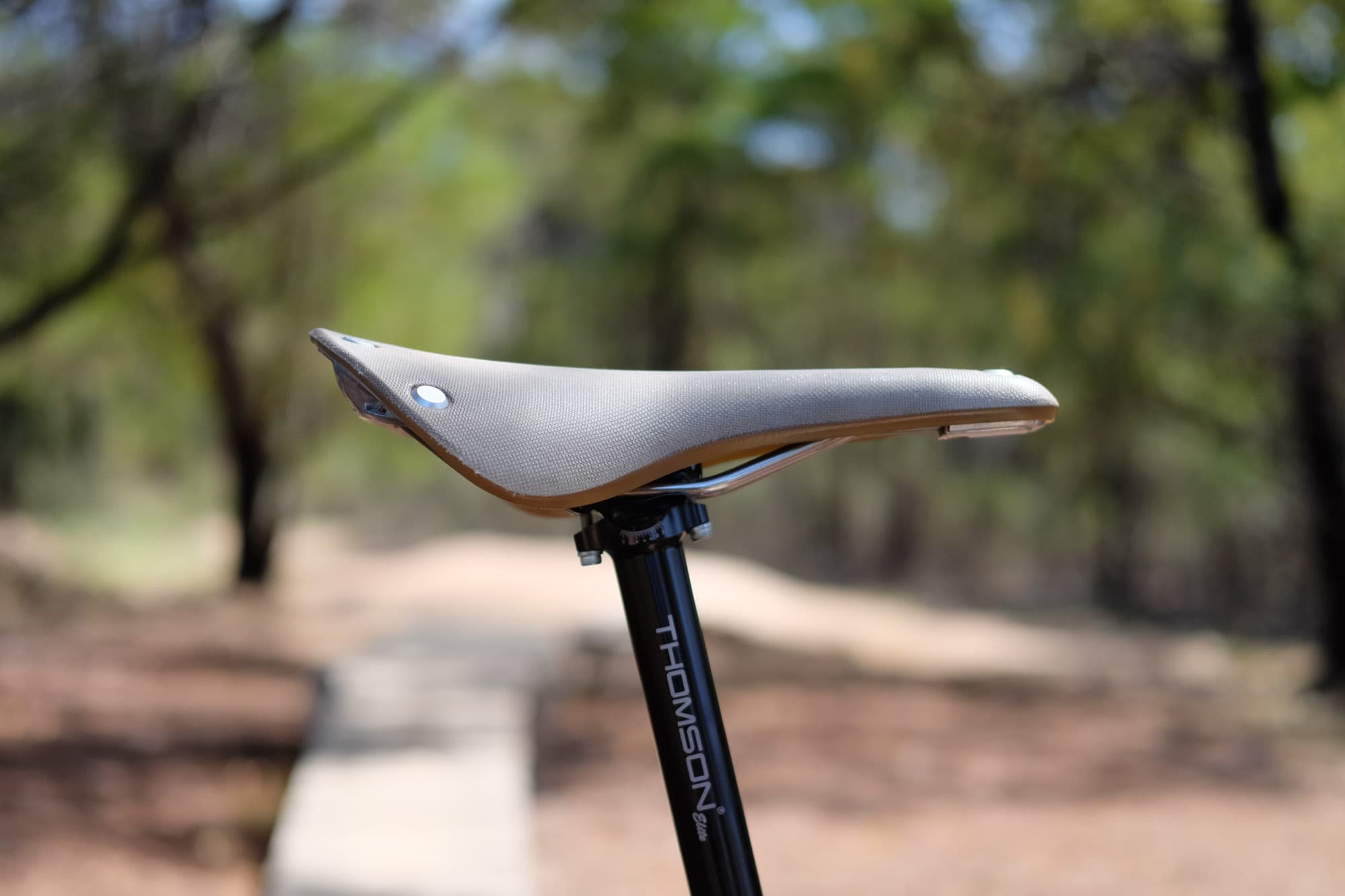 Brooks Cambium C17 side view