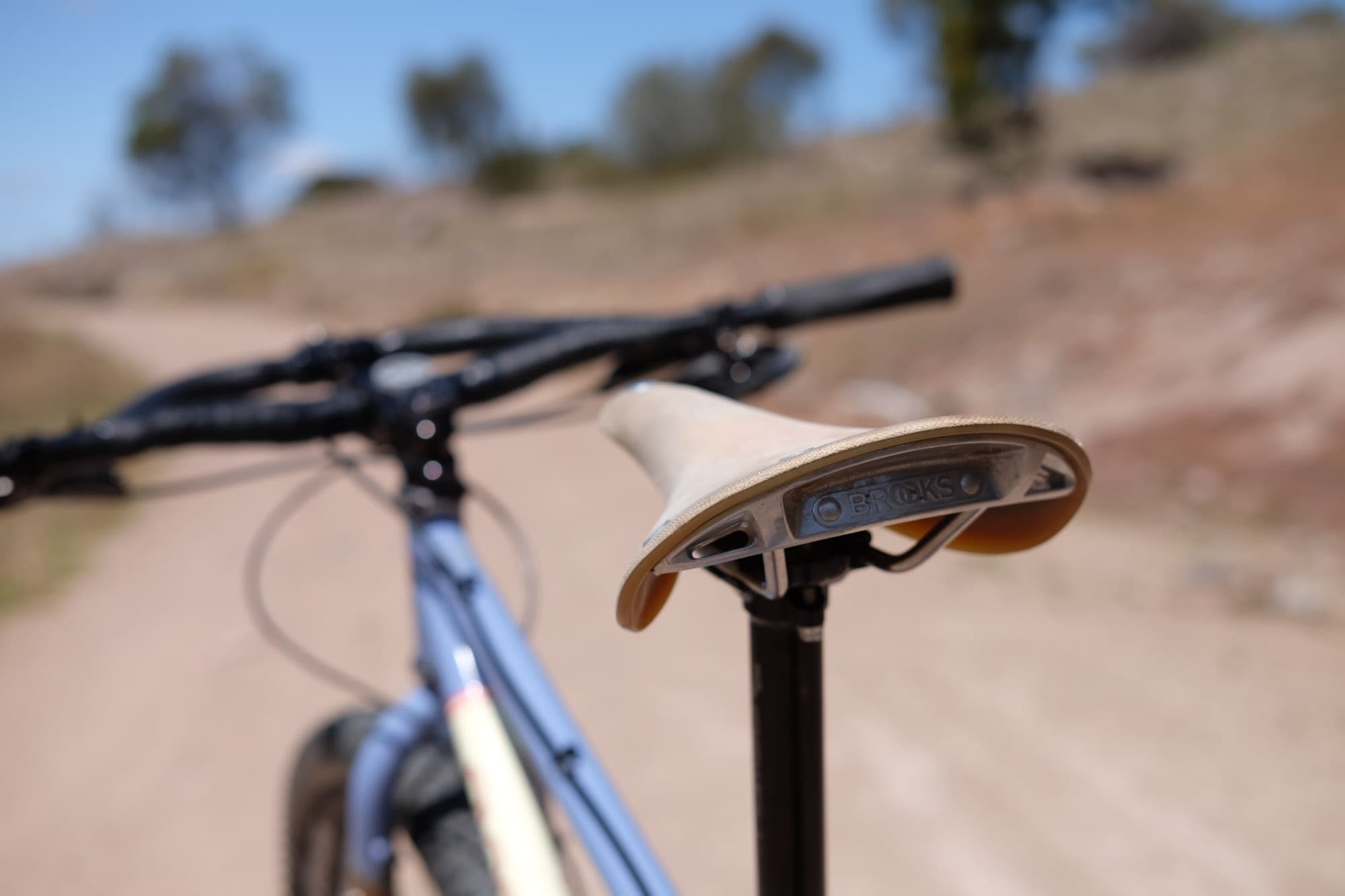 Brooks Cambium C17 rear view