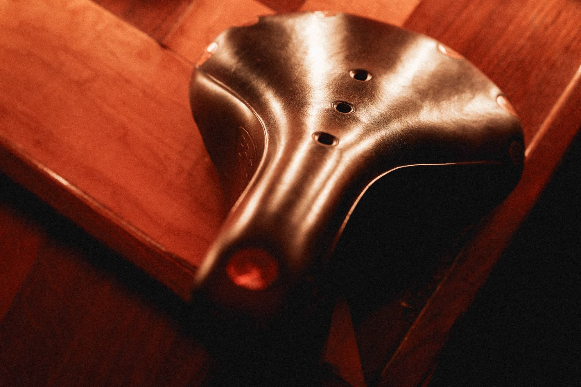 Brooks B17 in the light