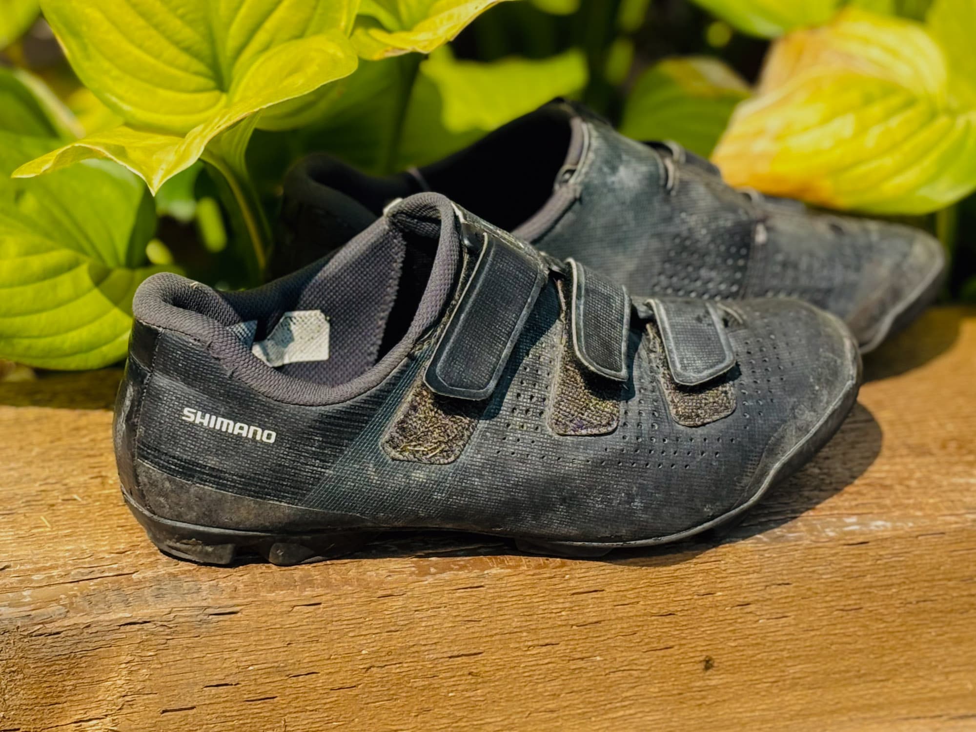 Sarahs Shimano SH-XC100.