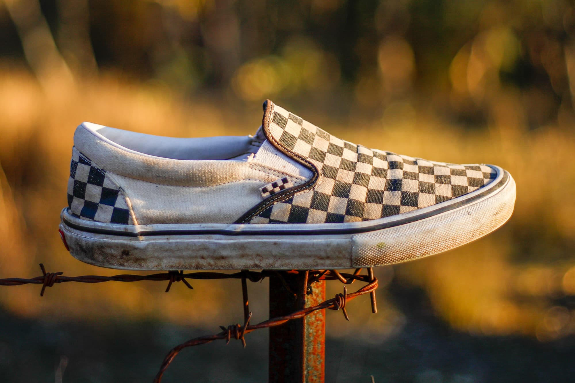 Matties Vans Skate Slip-Ons.