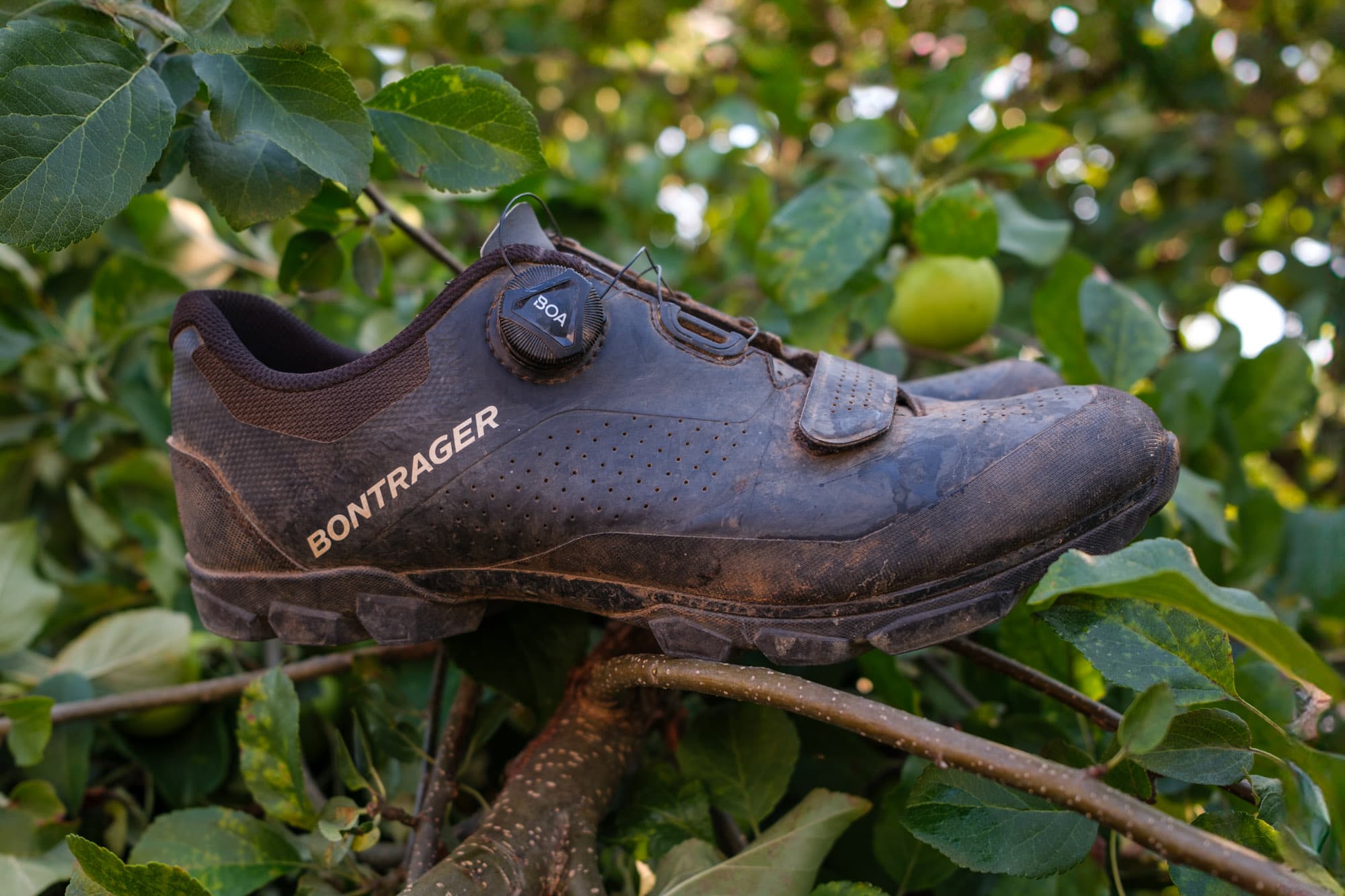 Jeffs Bontrager Foray.