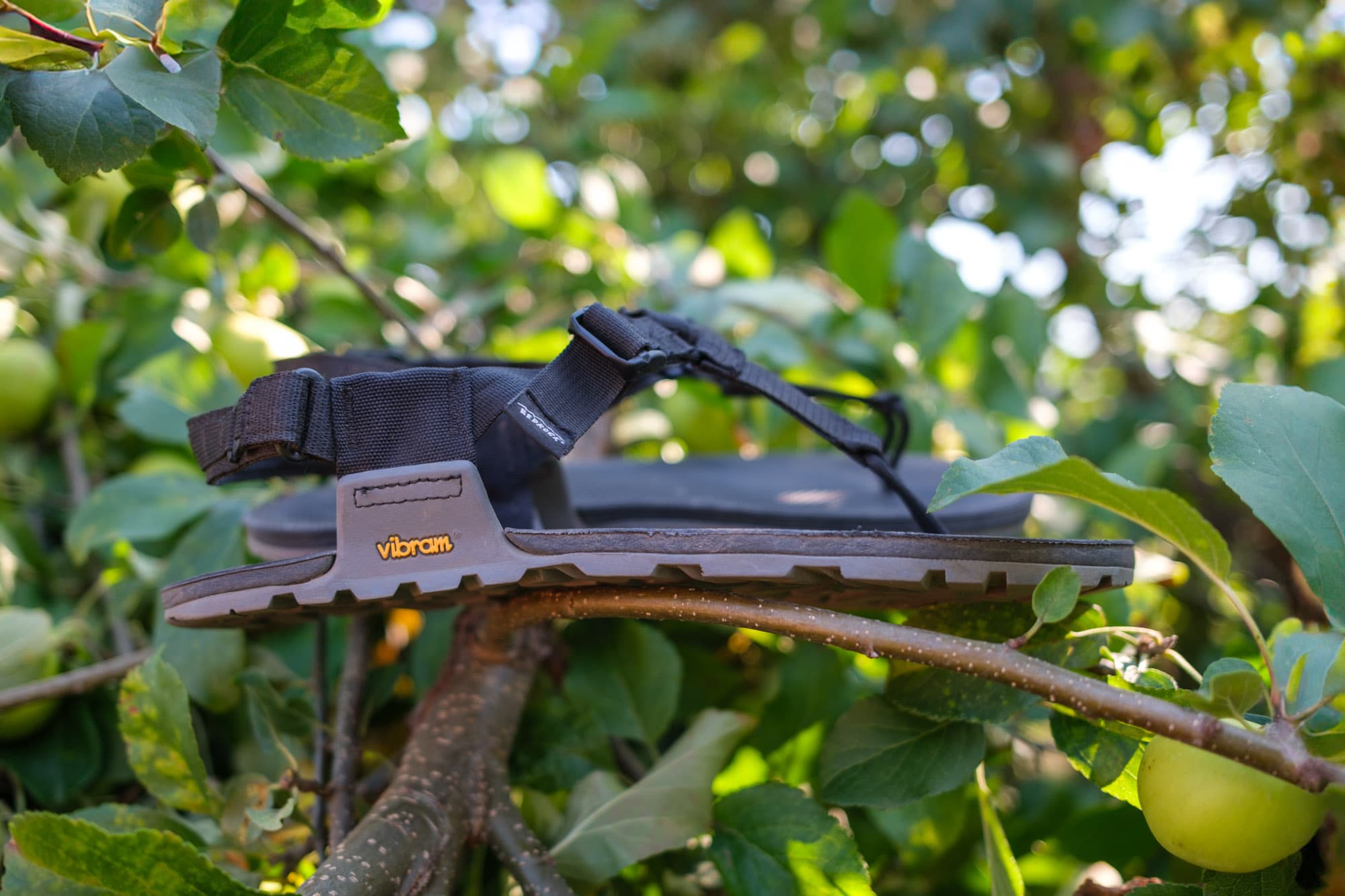 The Bedrock Cairn Pro II Sandals.