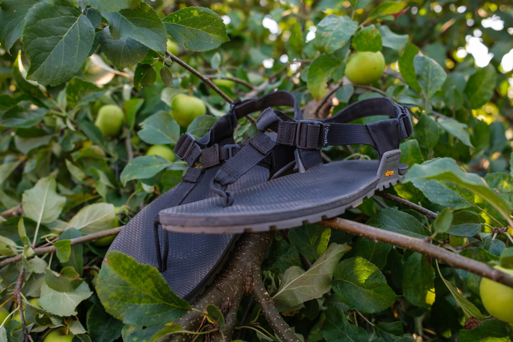 Front view of the Bedrock Cairn Pro II Sandals.