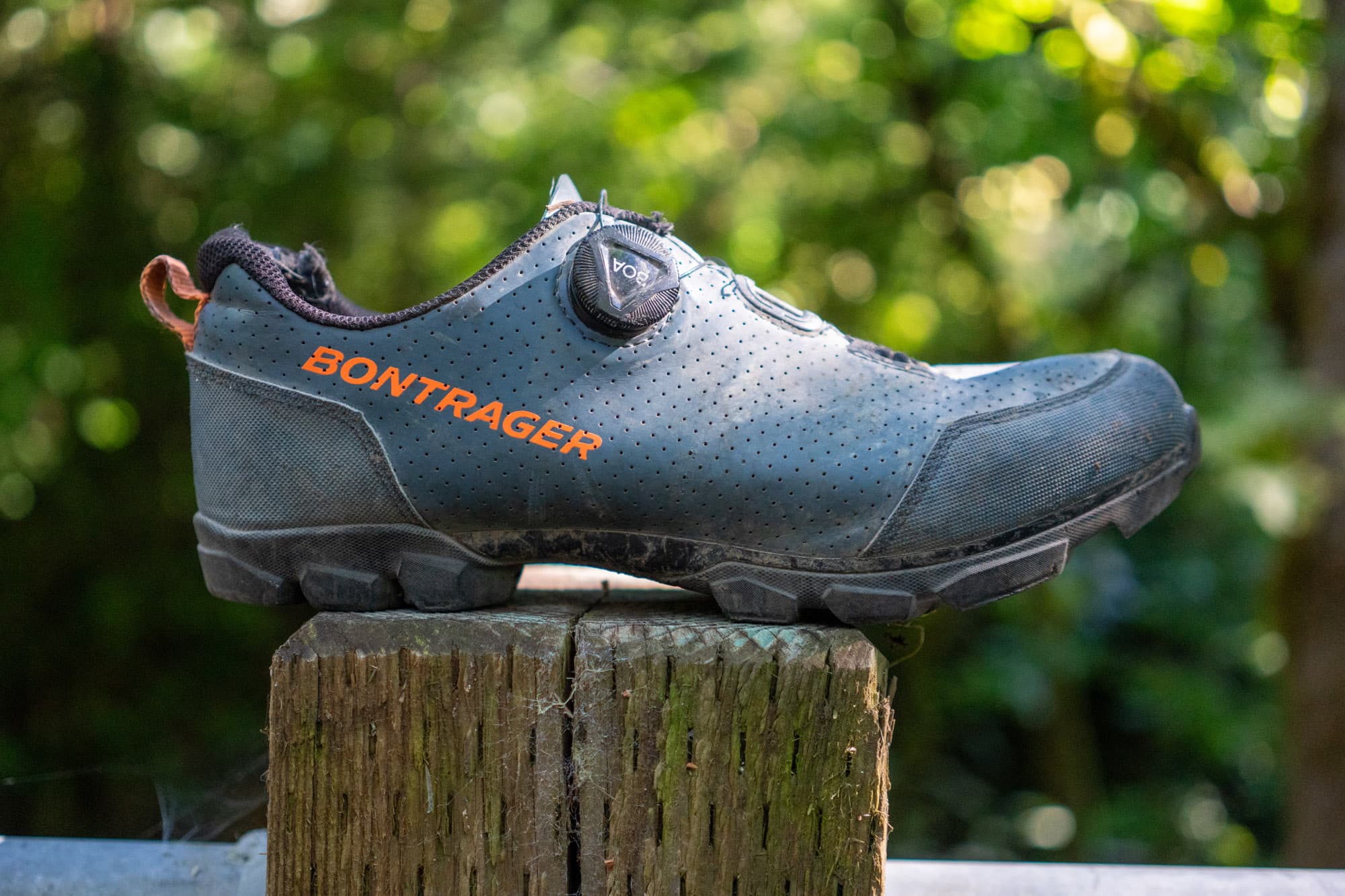 Barrys Bontrager Evoke