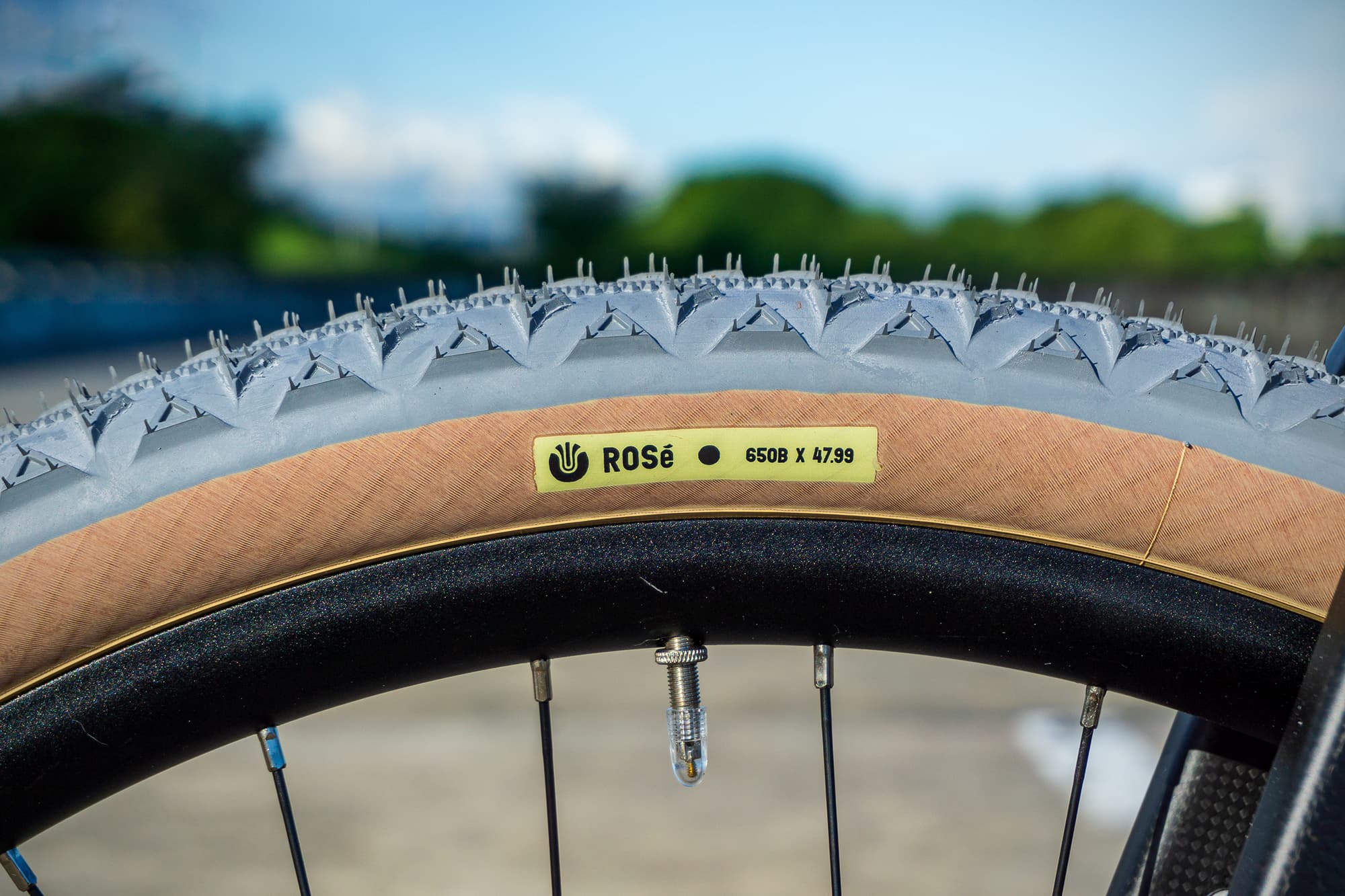 rose tire