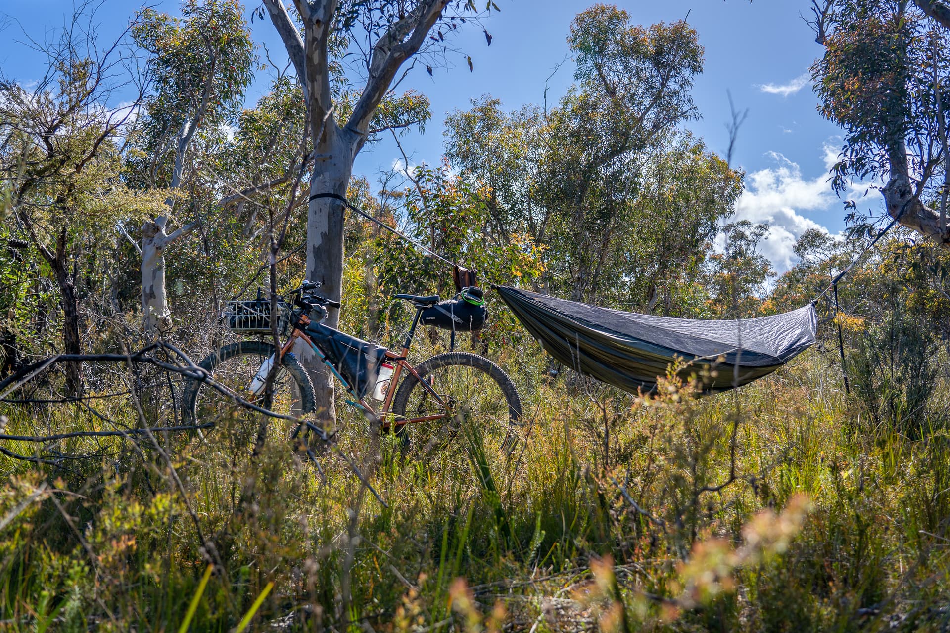 Warbonnet Blackbird Hammock: Comfort Camping