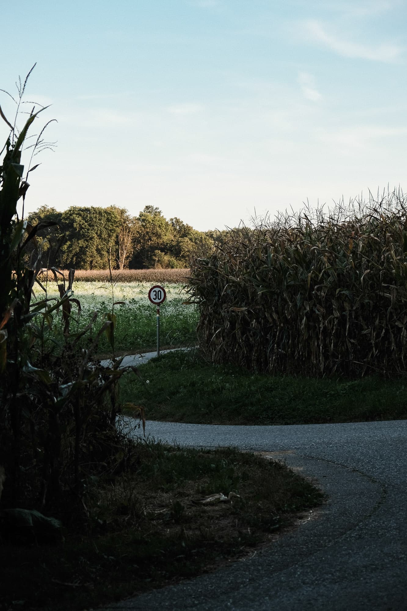 speed limit