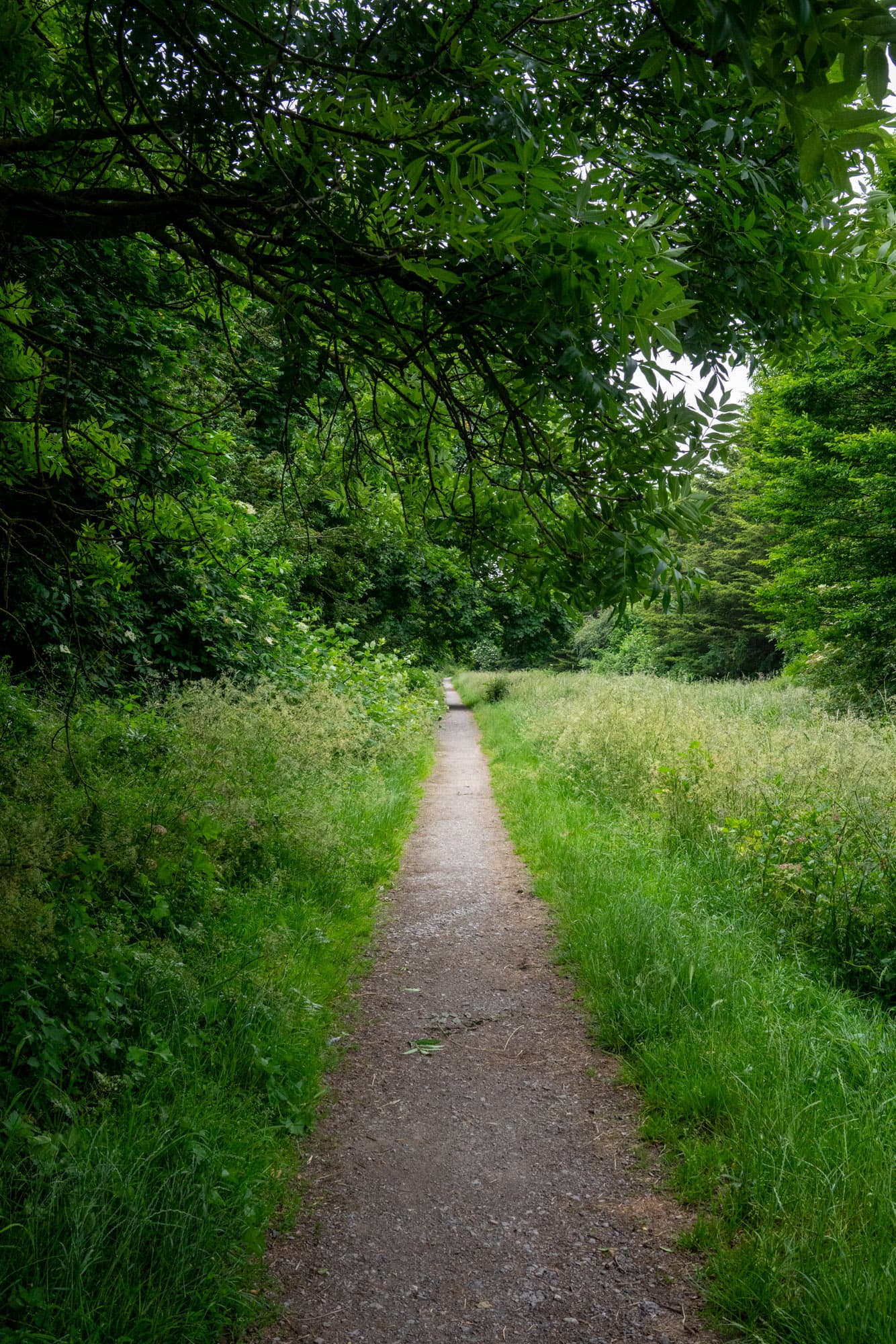A path on NLD5.
