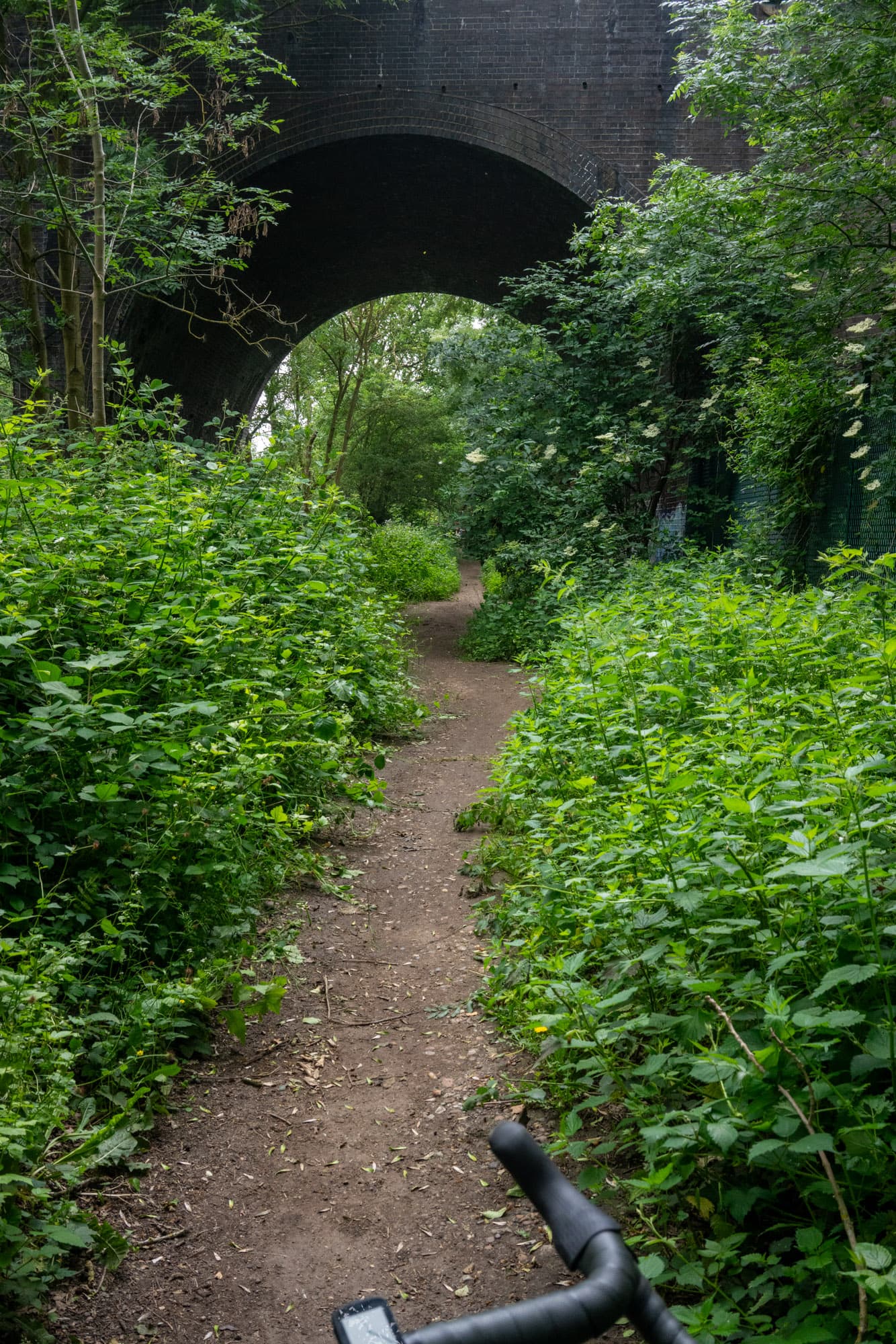 Under a bridge.