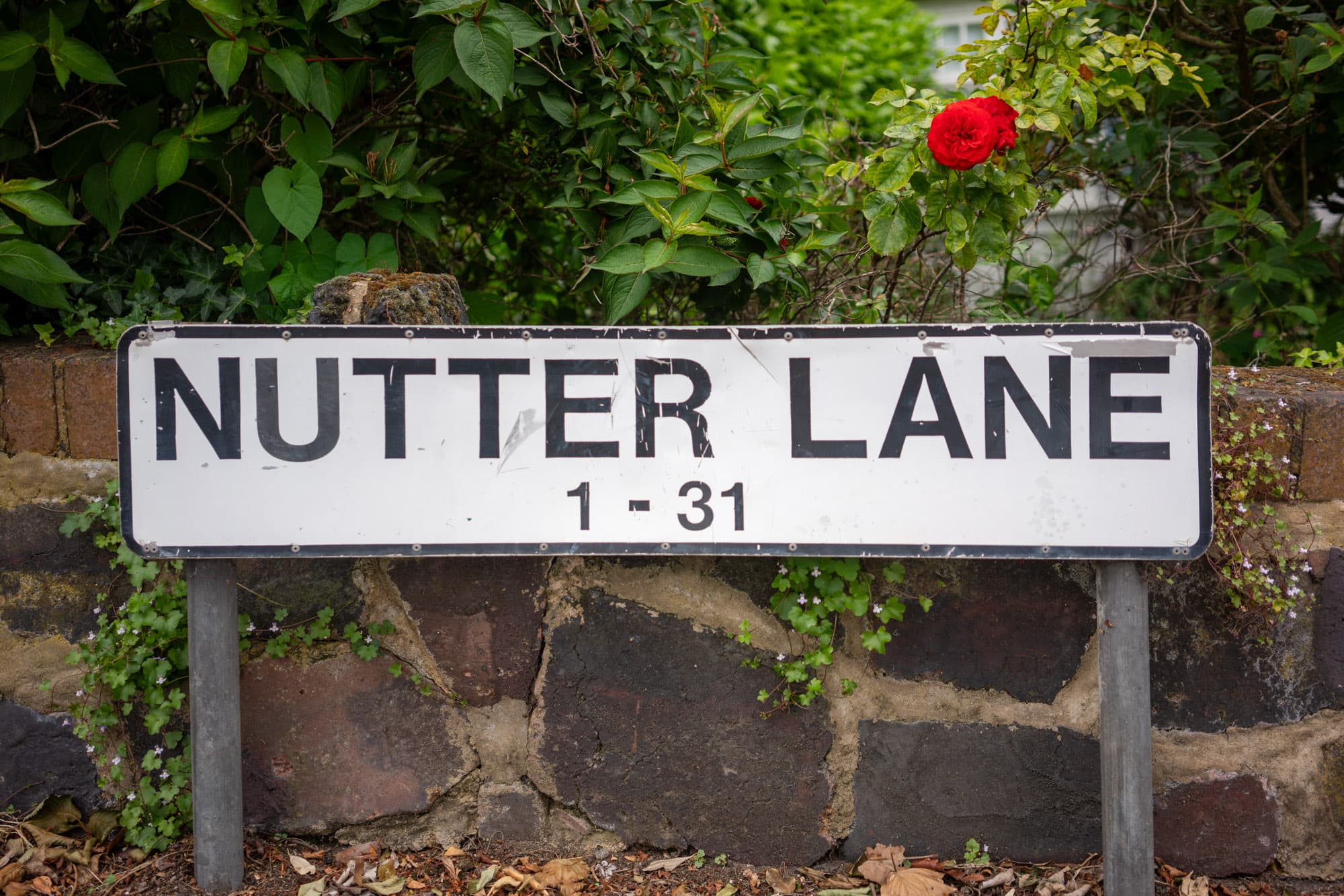 Nutter Lane.