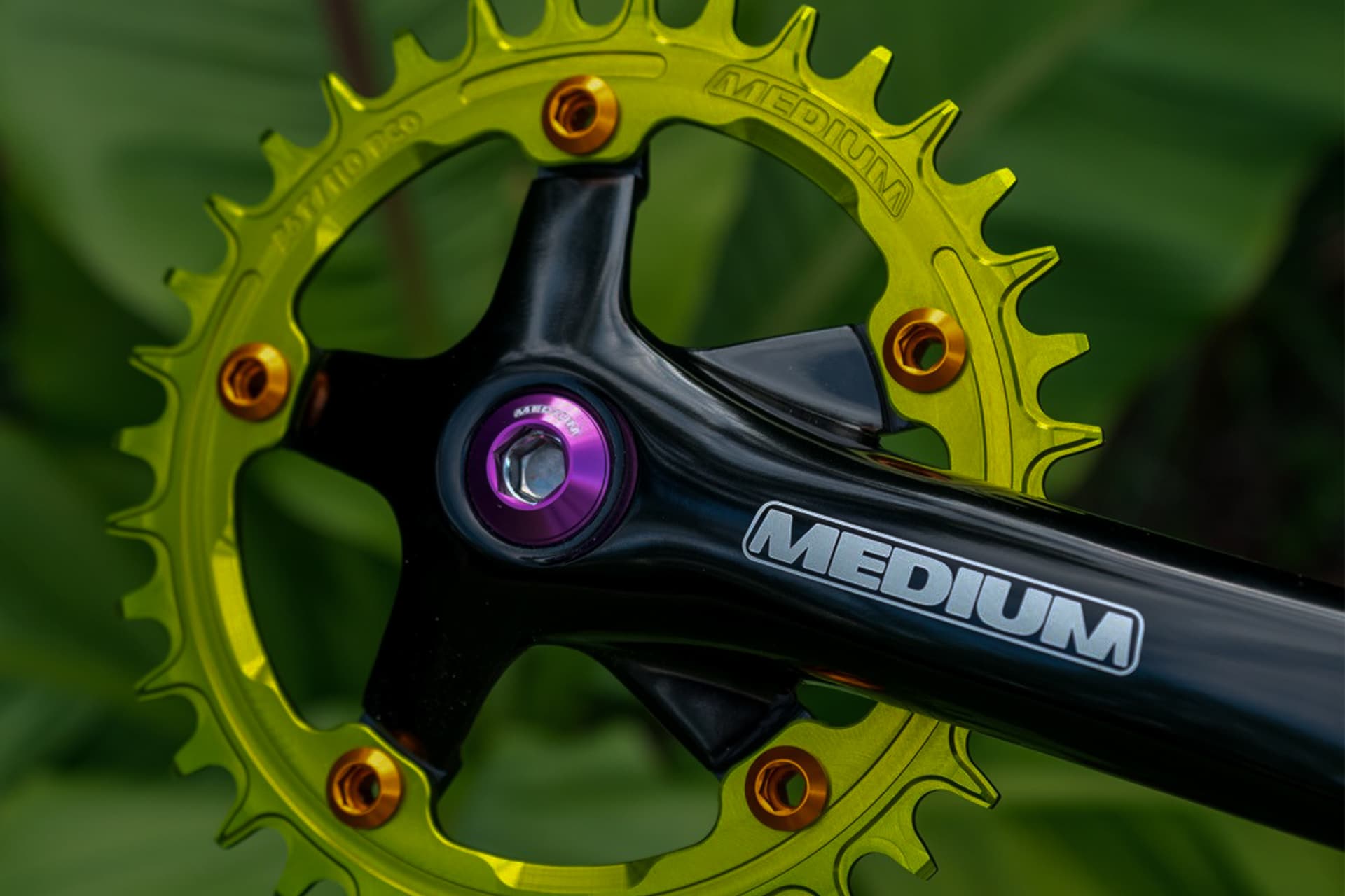 Atelier Medium: Colorful All Terrain for the People