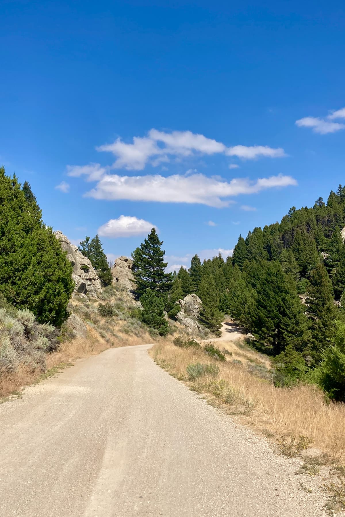 beauty gravel
