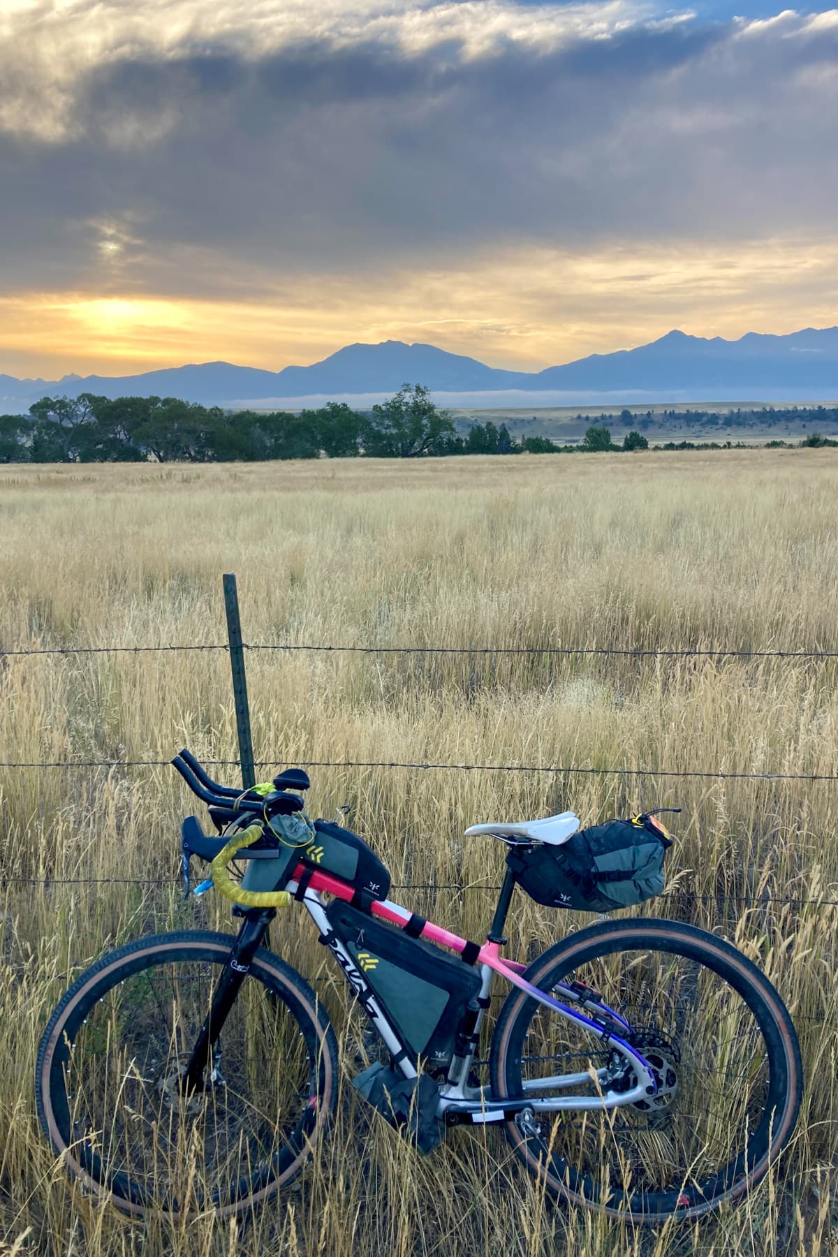 bike in field