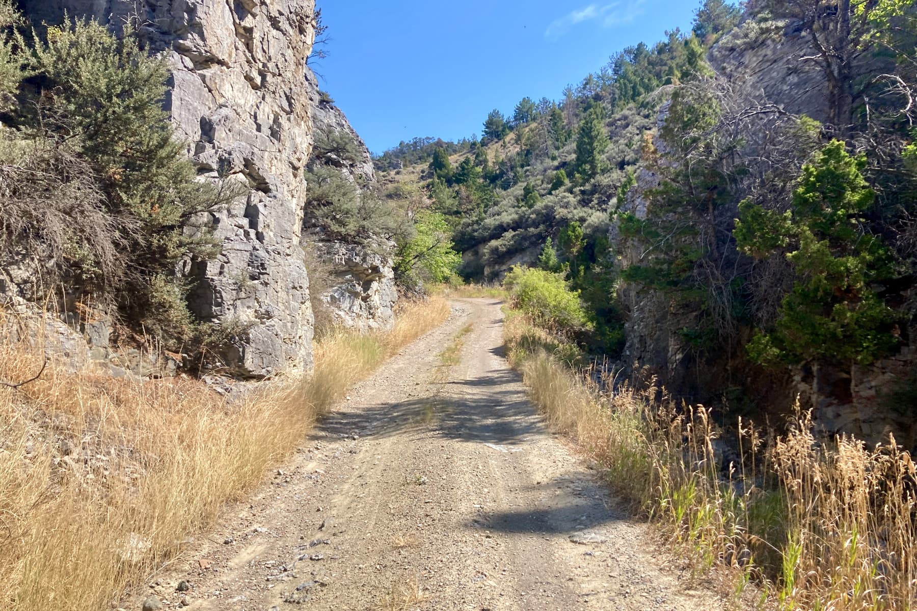montana canyon