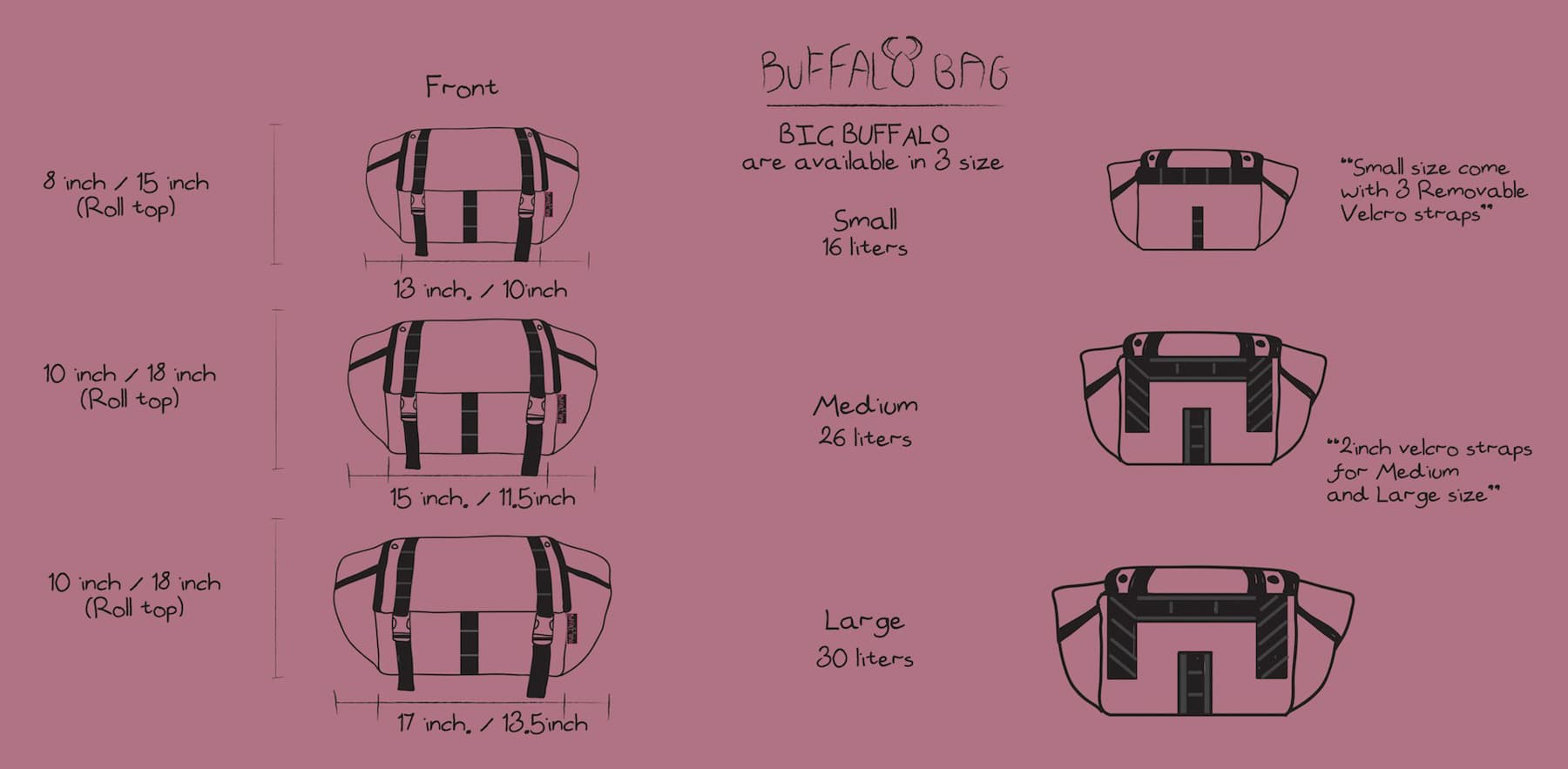 big buffalo sizing