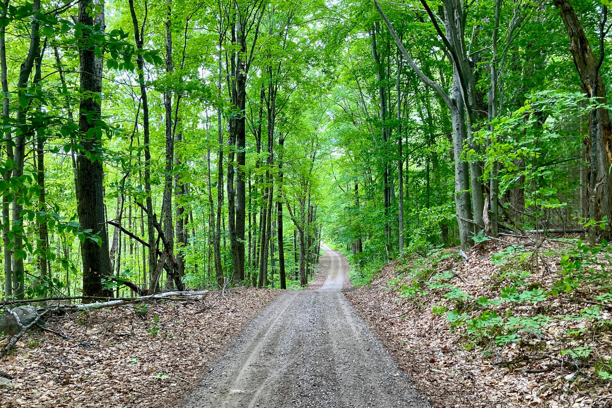 A gravel road in Western Quebec.