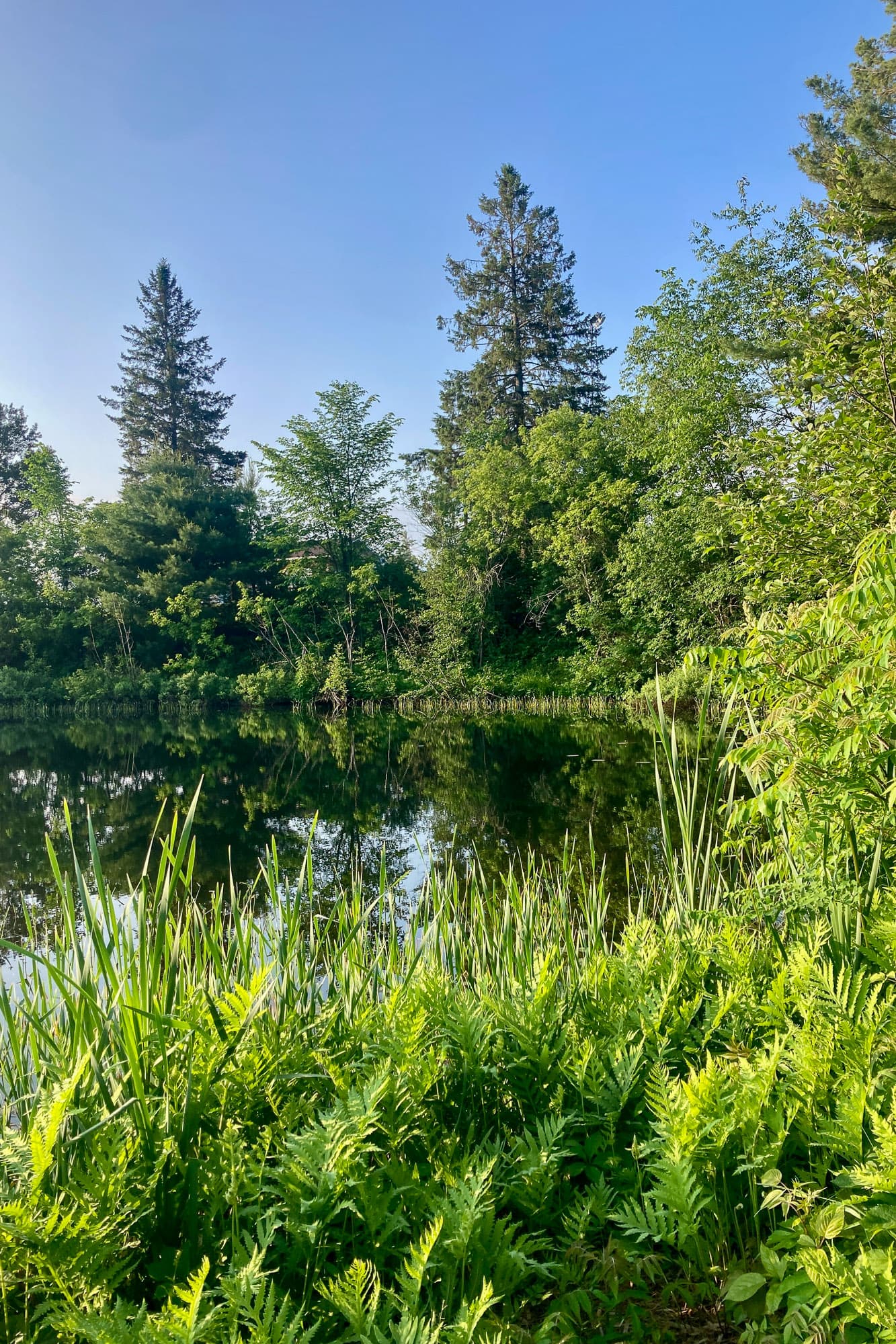 Another Quebec pond.