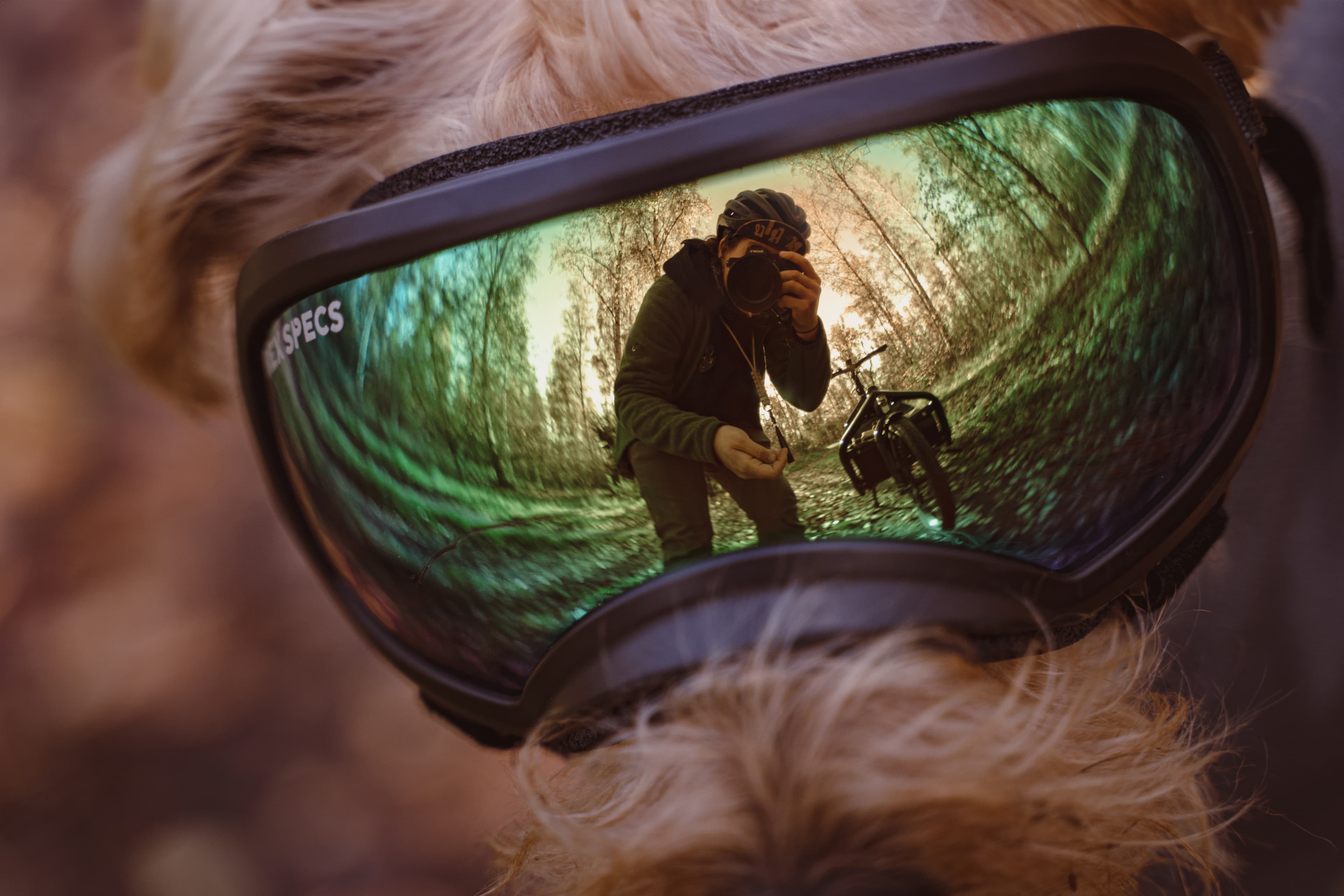 Photo through the eyes of Friedrich.