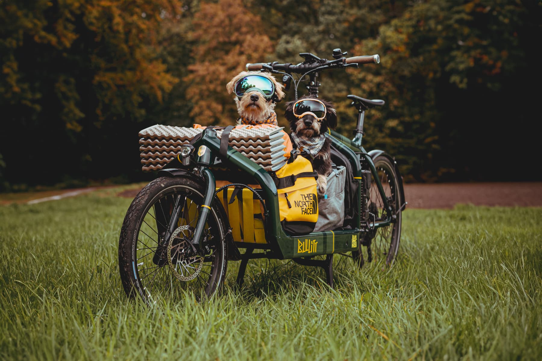 The Ultimate Cargo Bikepacking Guide: Adventure Fully Loaded