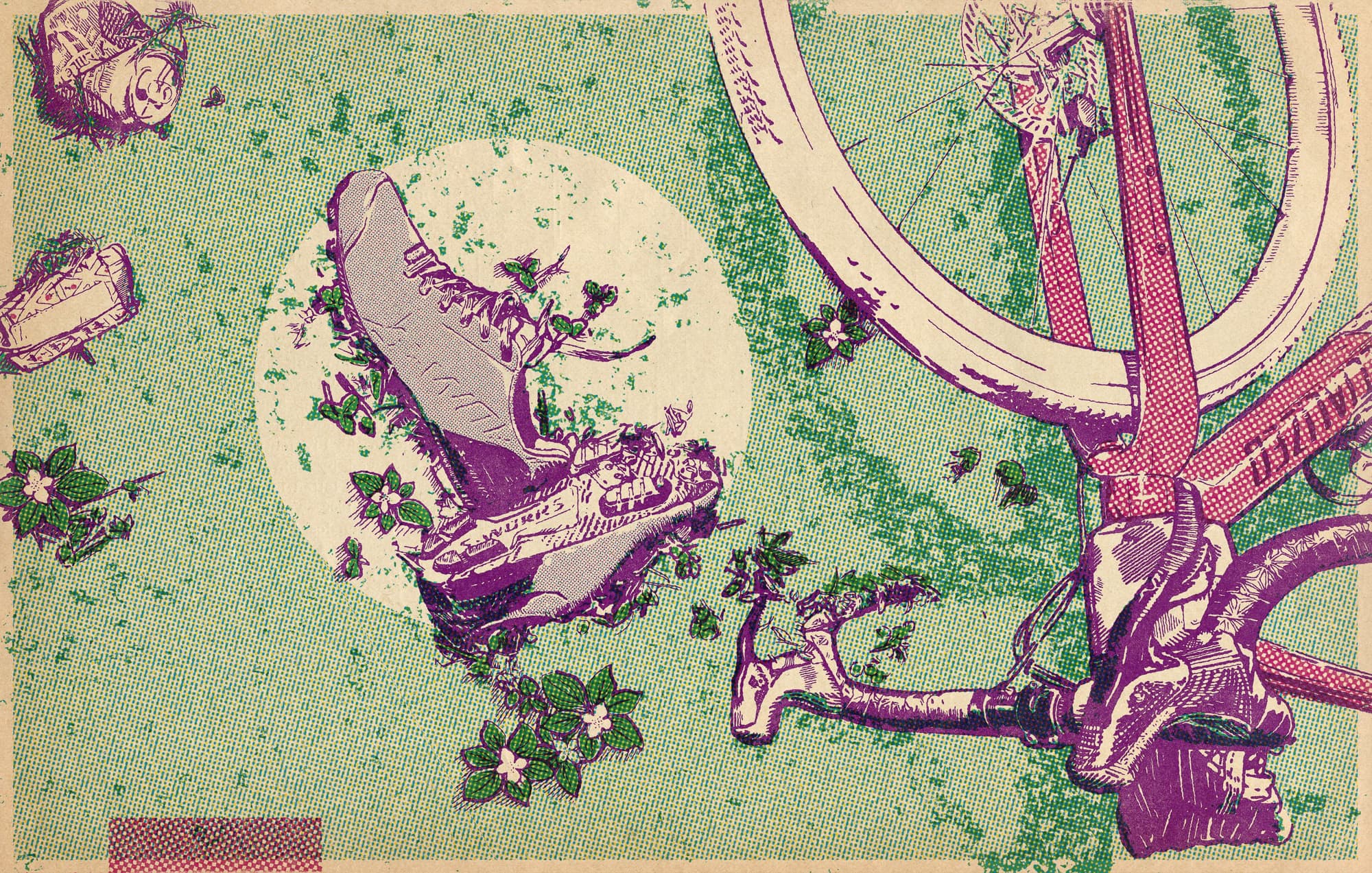 specialized
