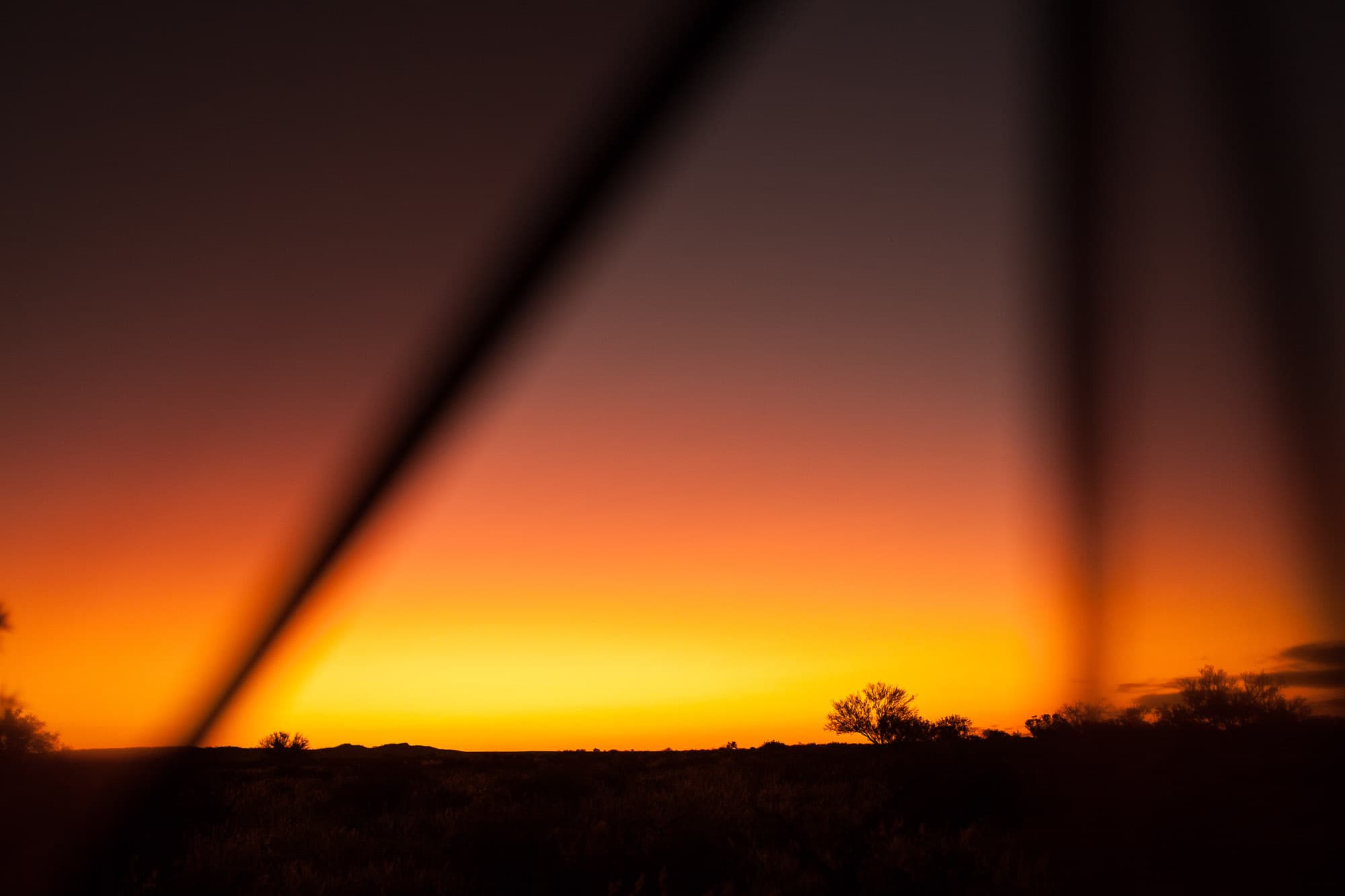 A burning orange sunset over a flat horizon with silhouetted trees.
