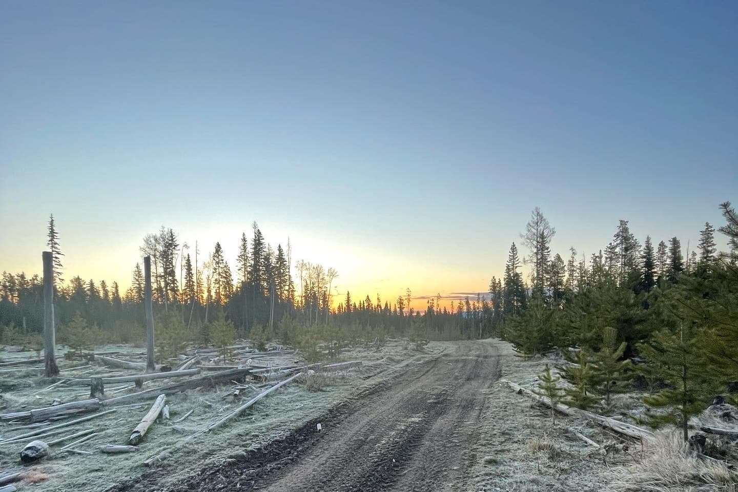 Frosty Morning