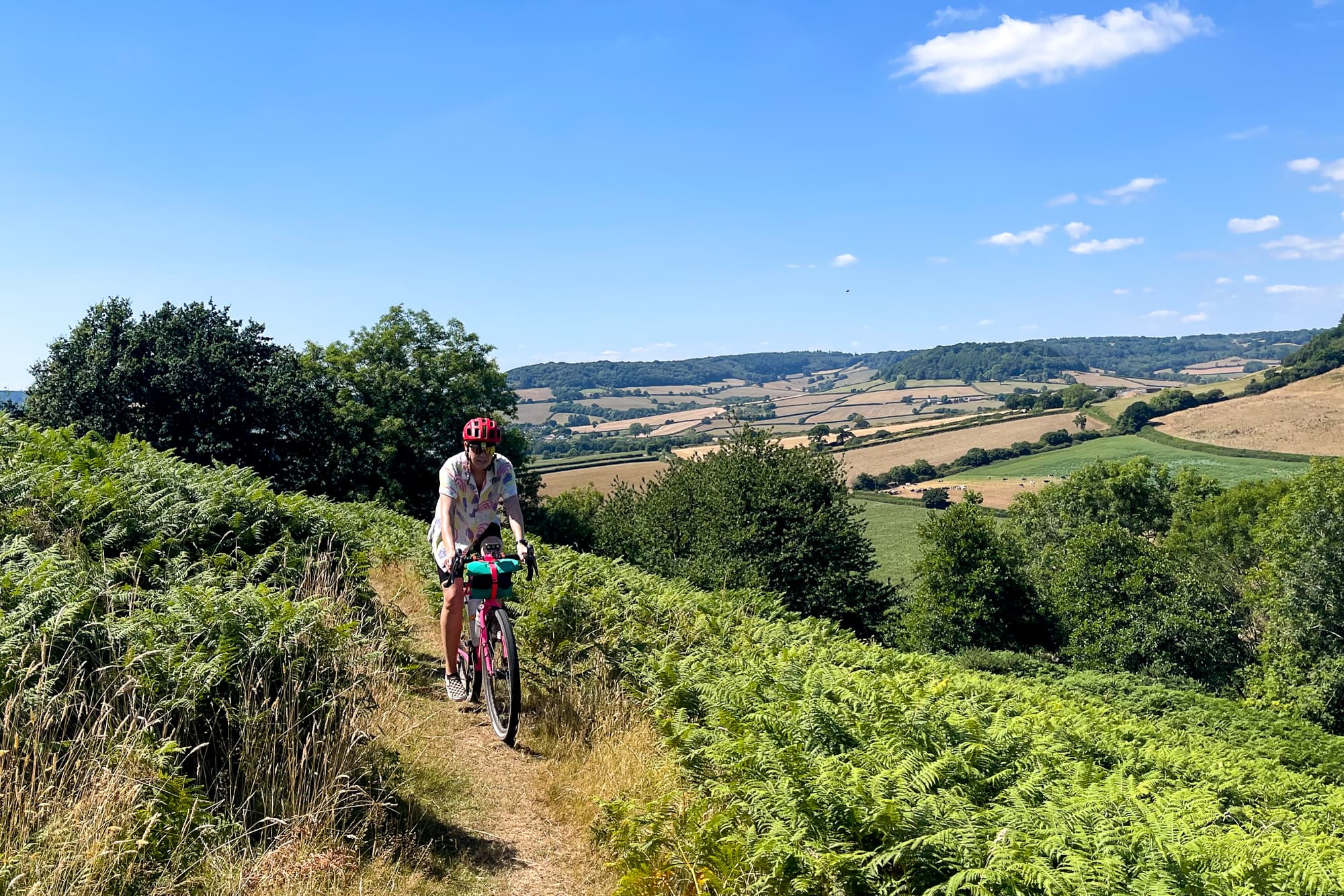 east devon goodness