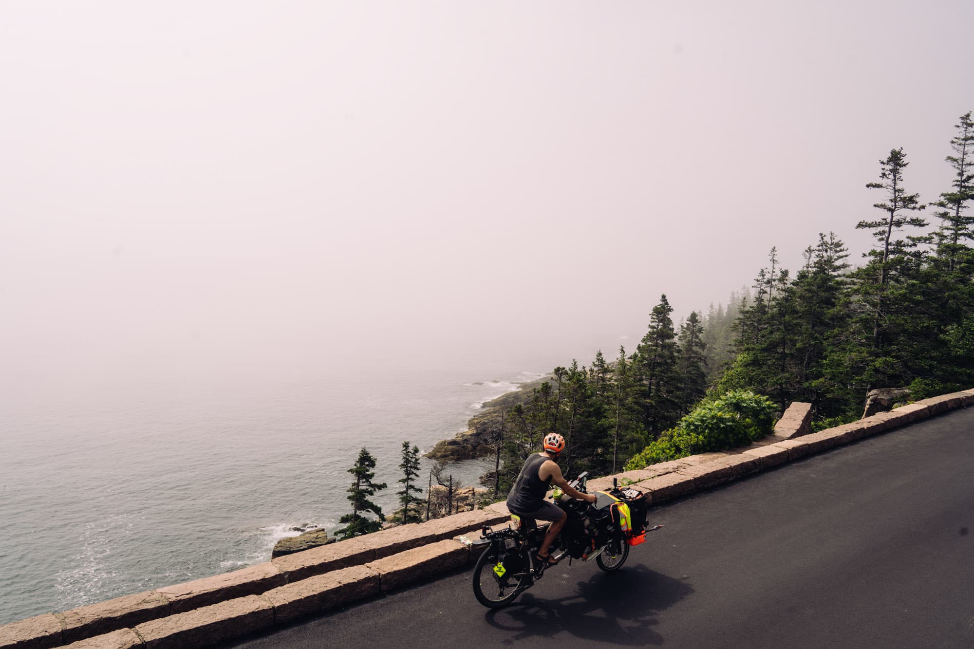 A misty coast in the PNW.