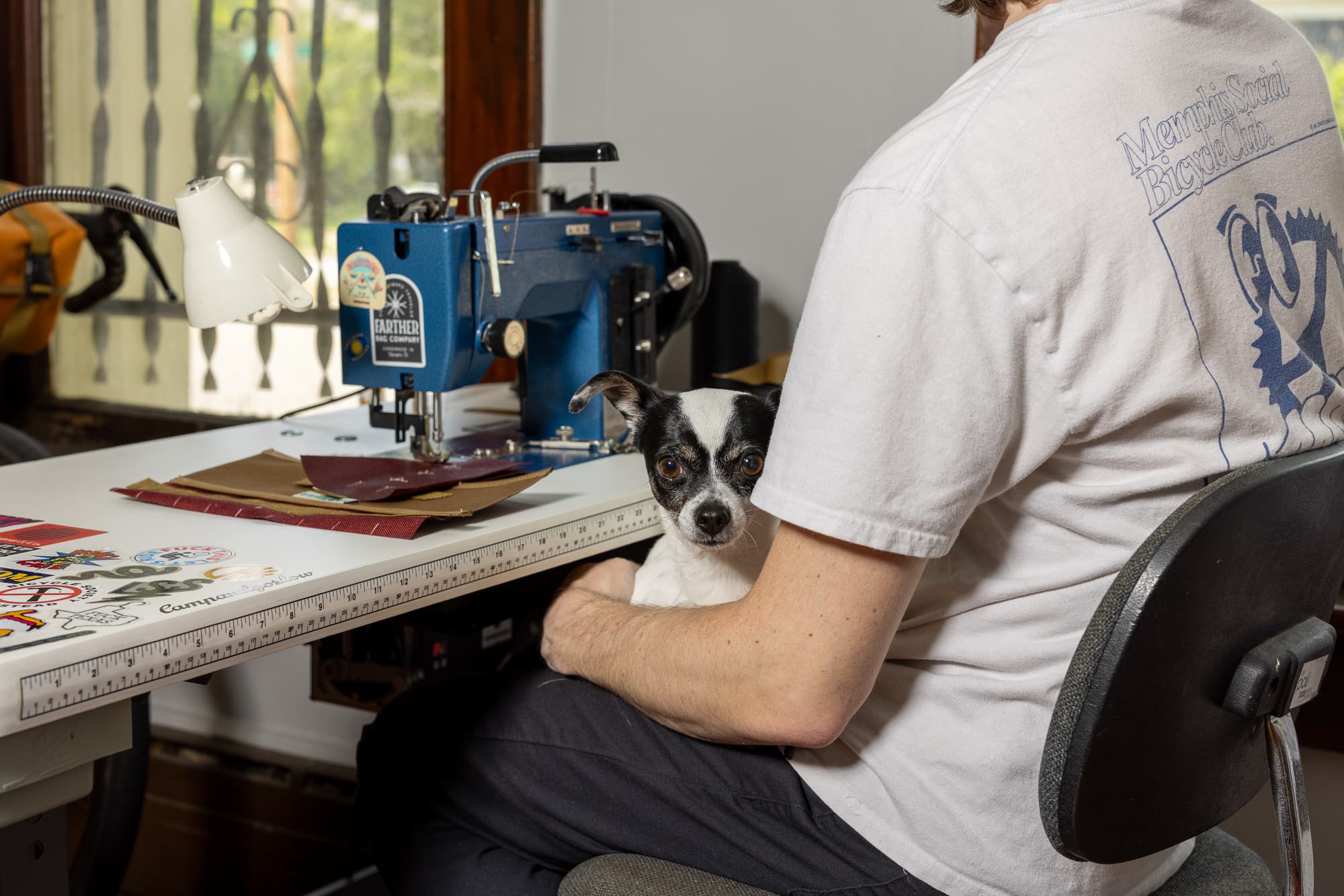will and dog