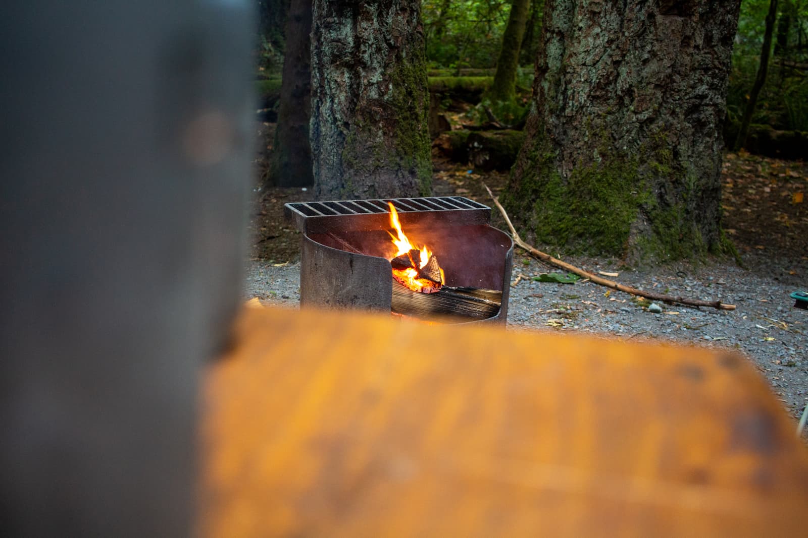 camp fire