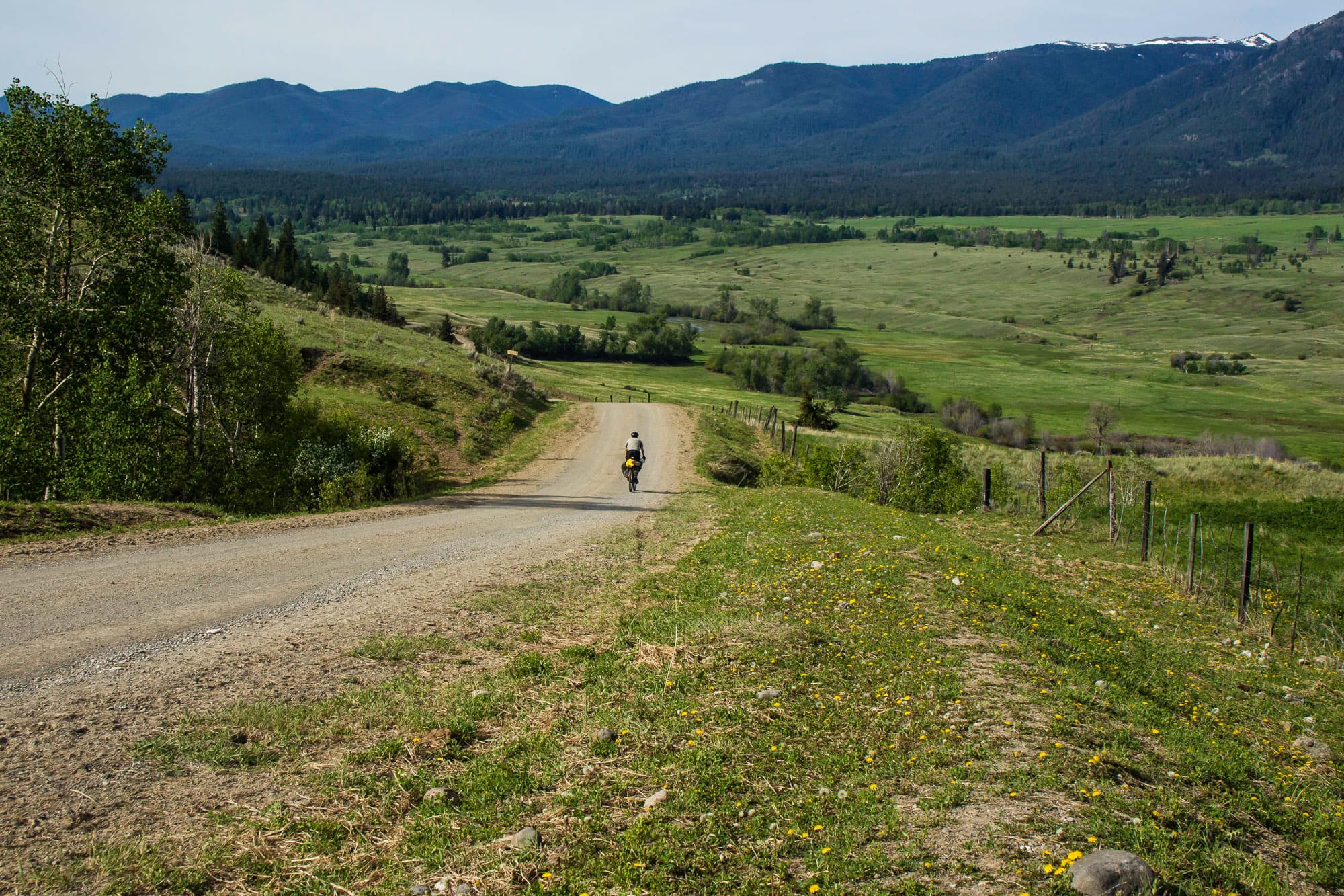 Coming down the Alberta foothills.
