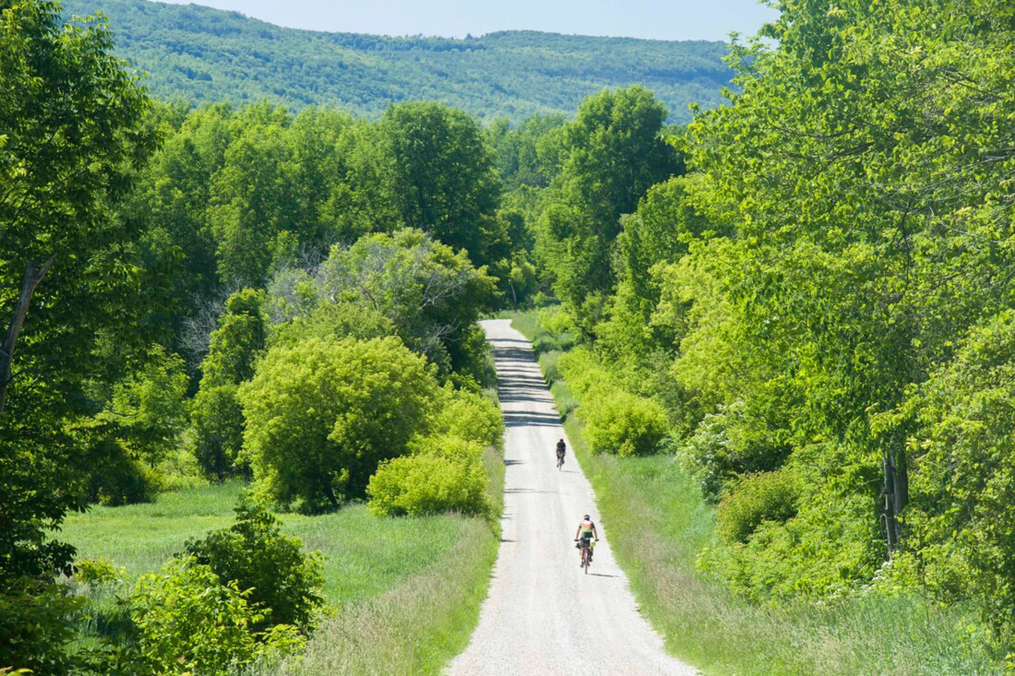 Cycling downhill in summer.