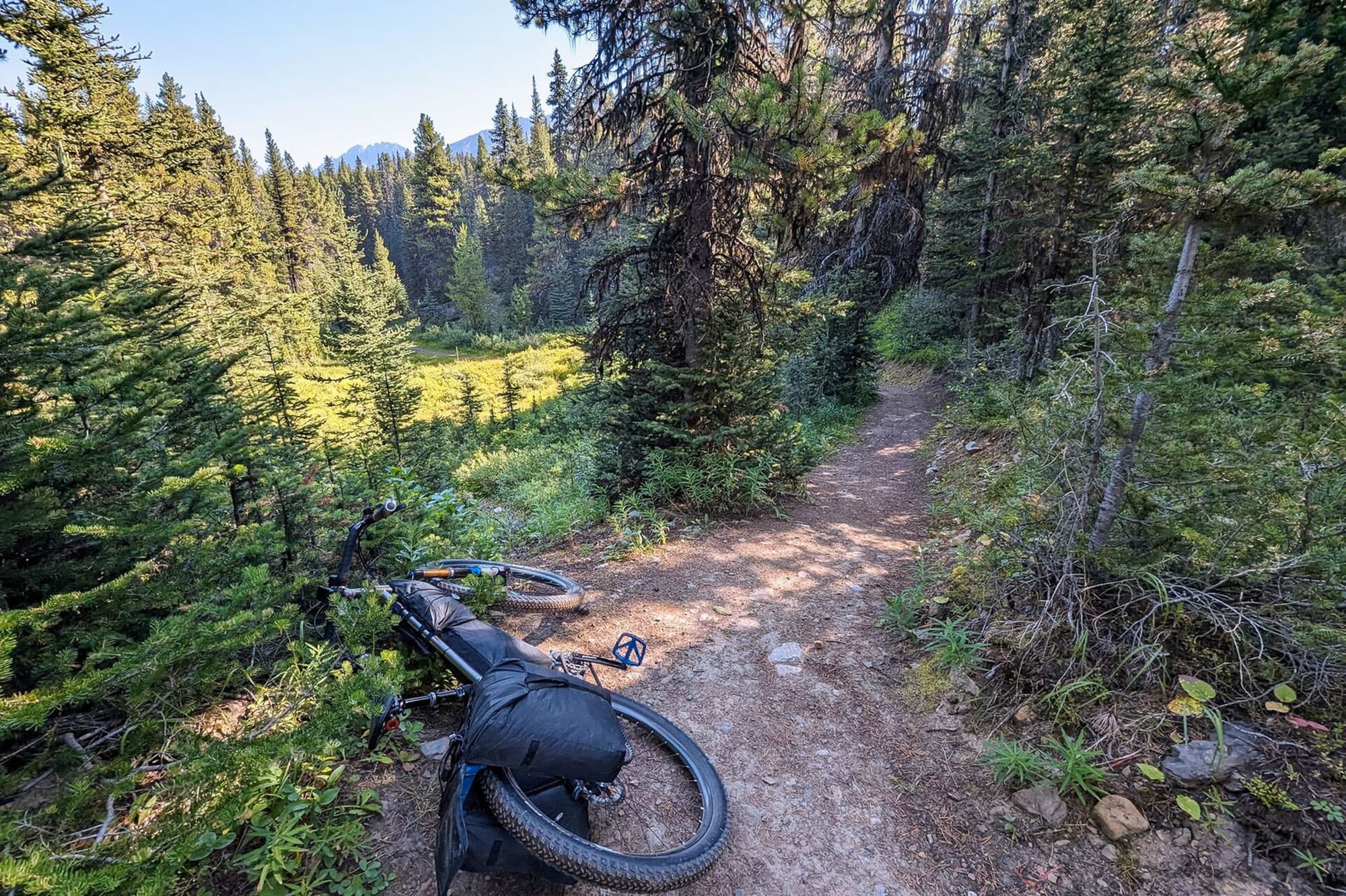 Bikepacking in the singletrack somewhere in Canada.