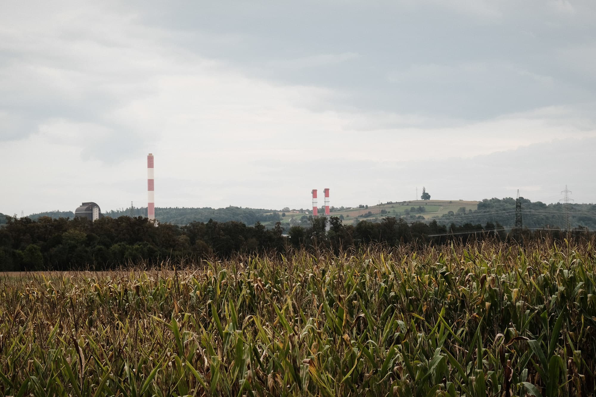 austrian field