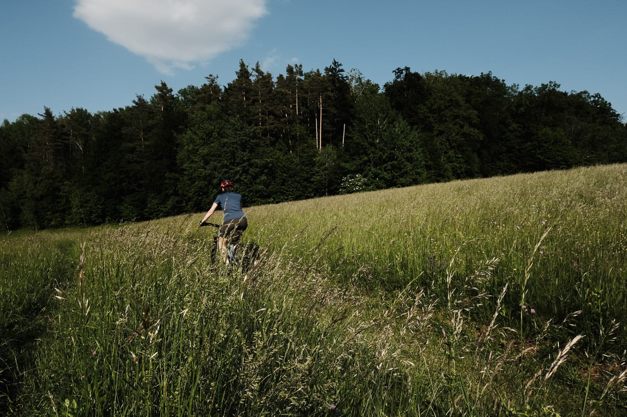 riding through grass