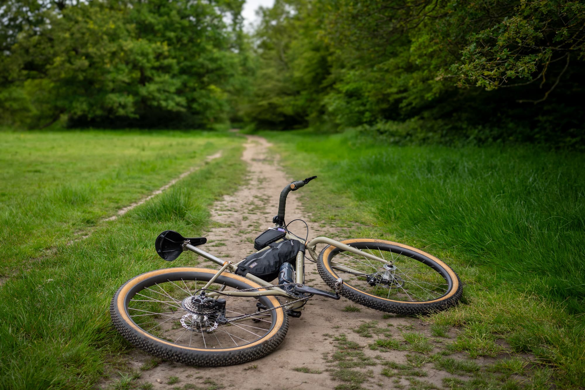 The Gryphon on the ground.