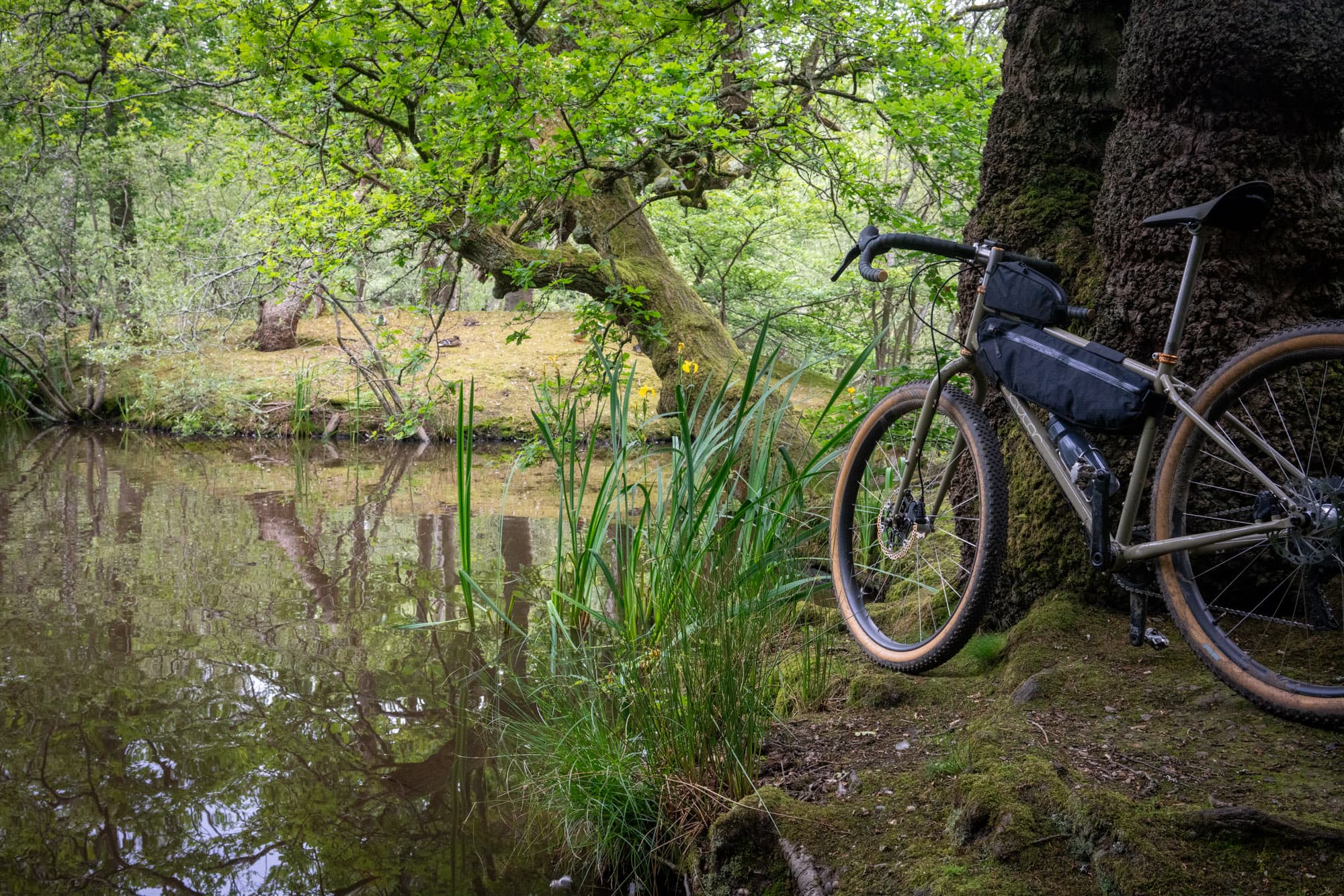 The Gryphon at a pond.